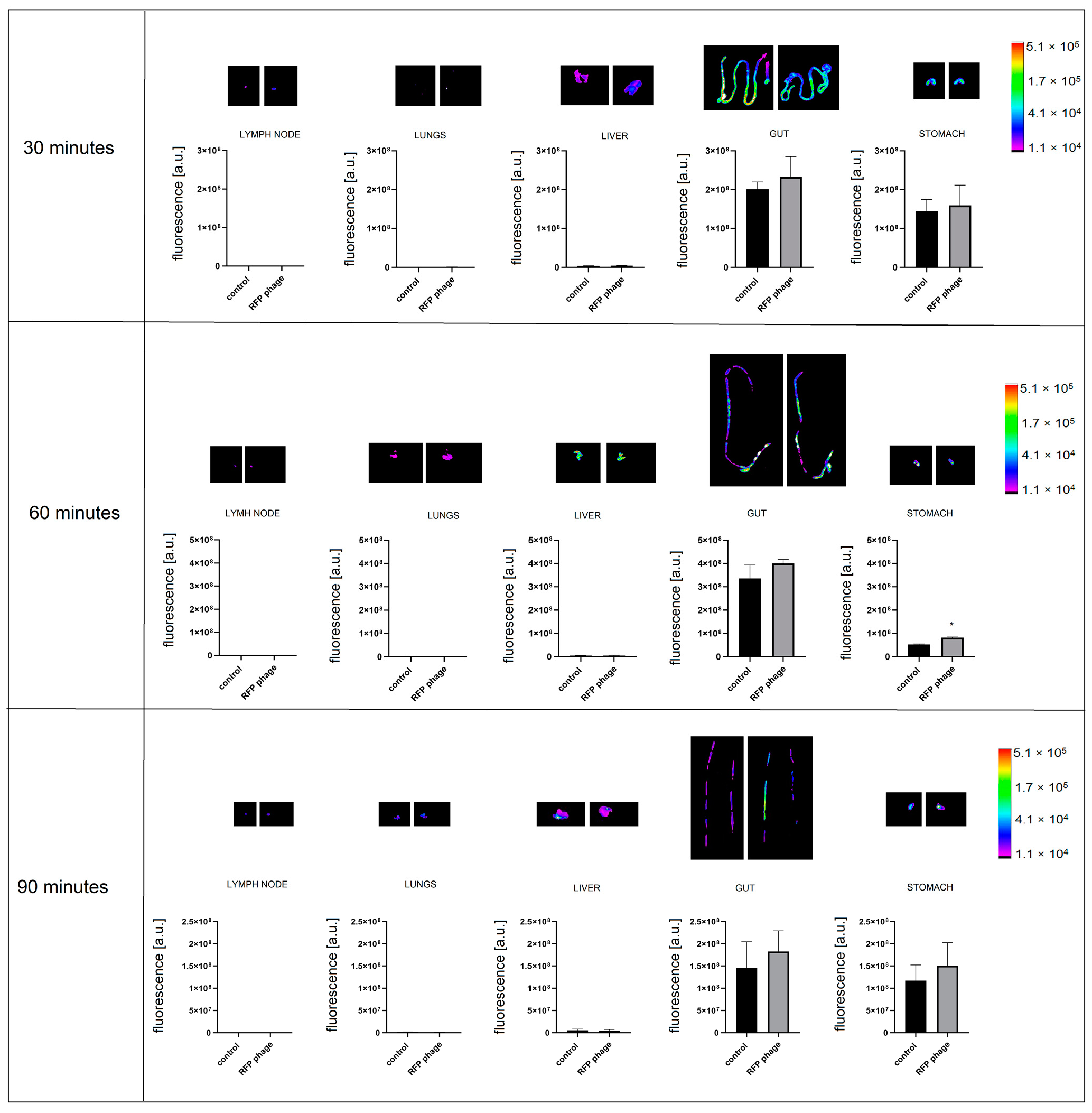 Viruses 13 00297 g008