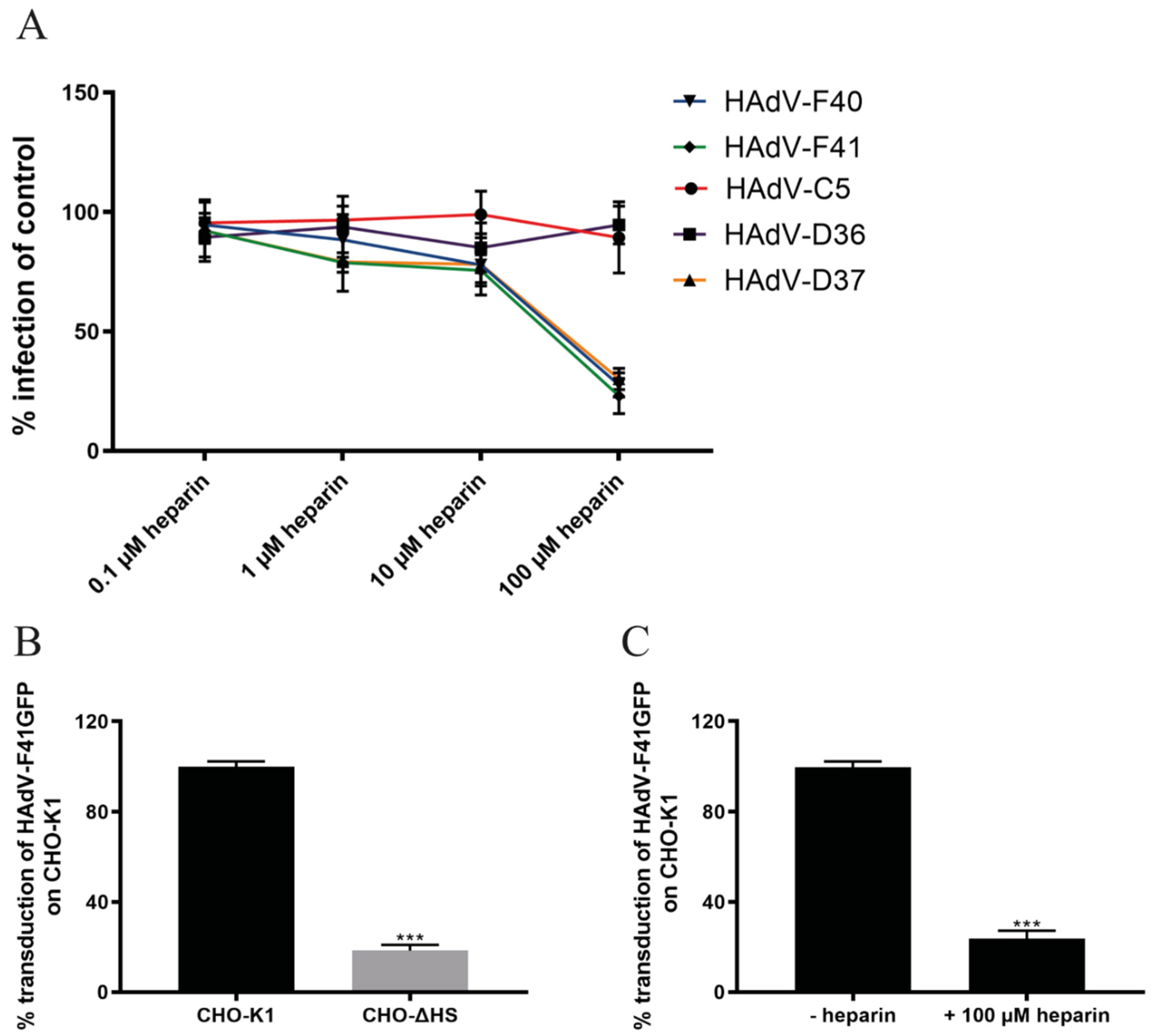 Viruses 13 00298 g003