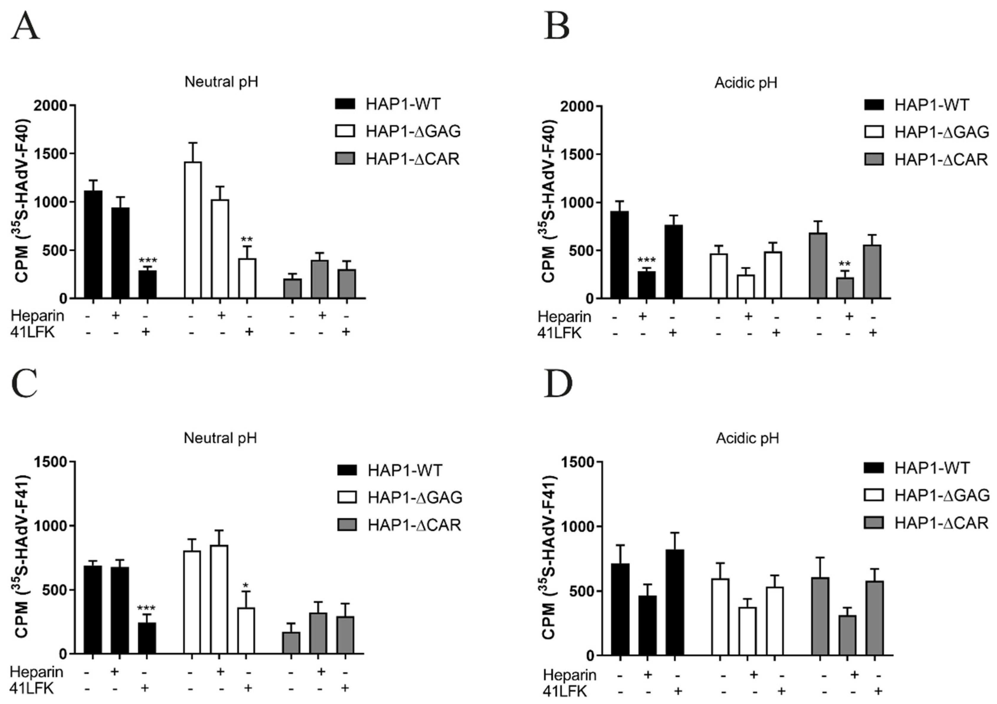 Viruses 13 00298 g005