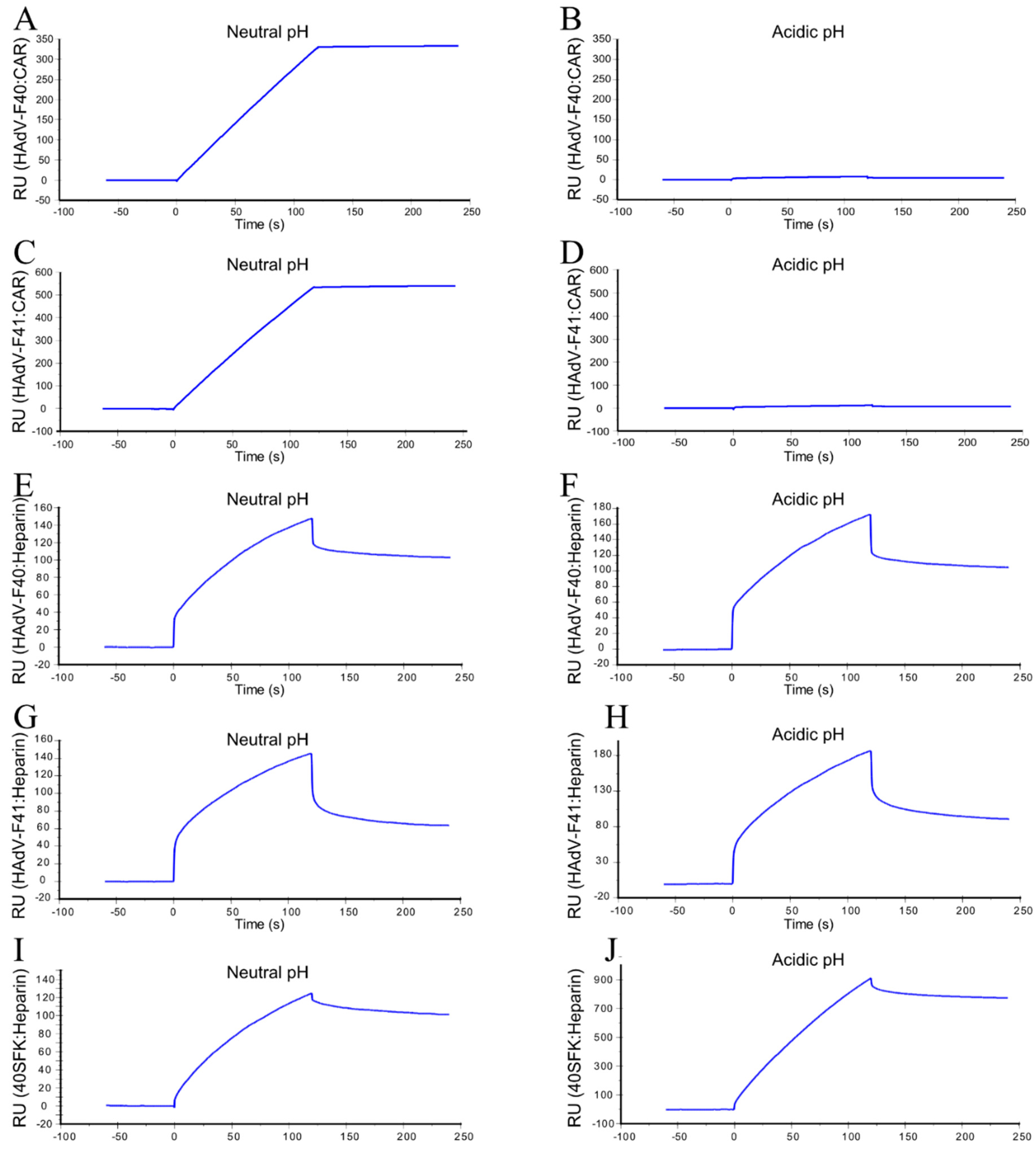 Viruses 13 00298 g006