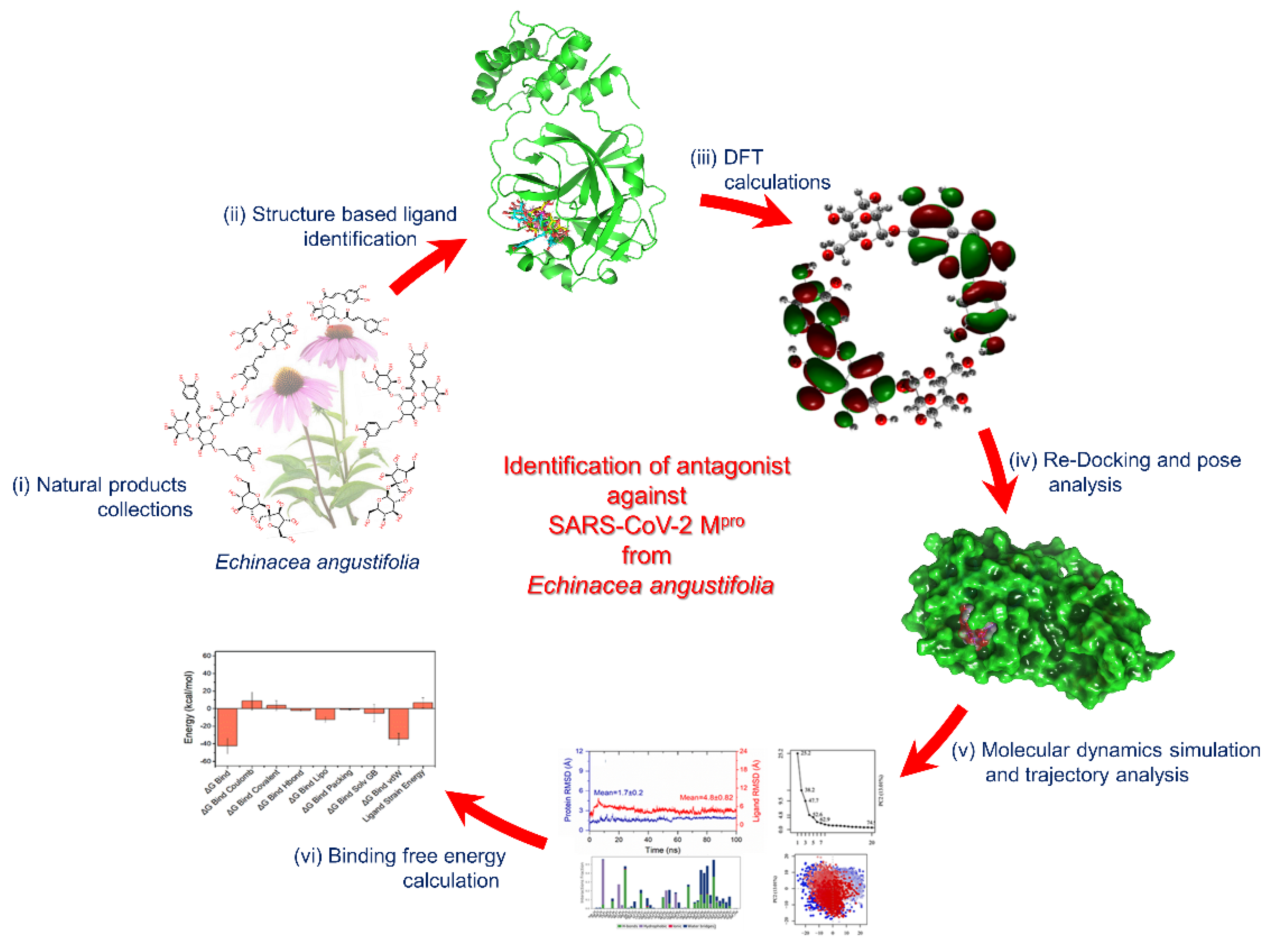 Viruses 13 00305 g001