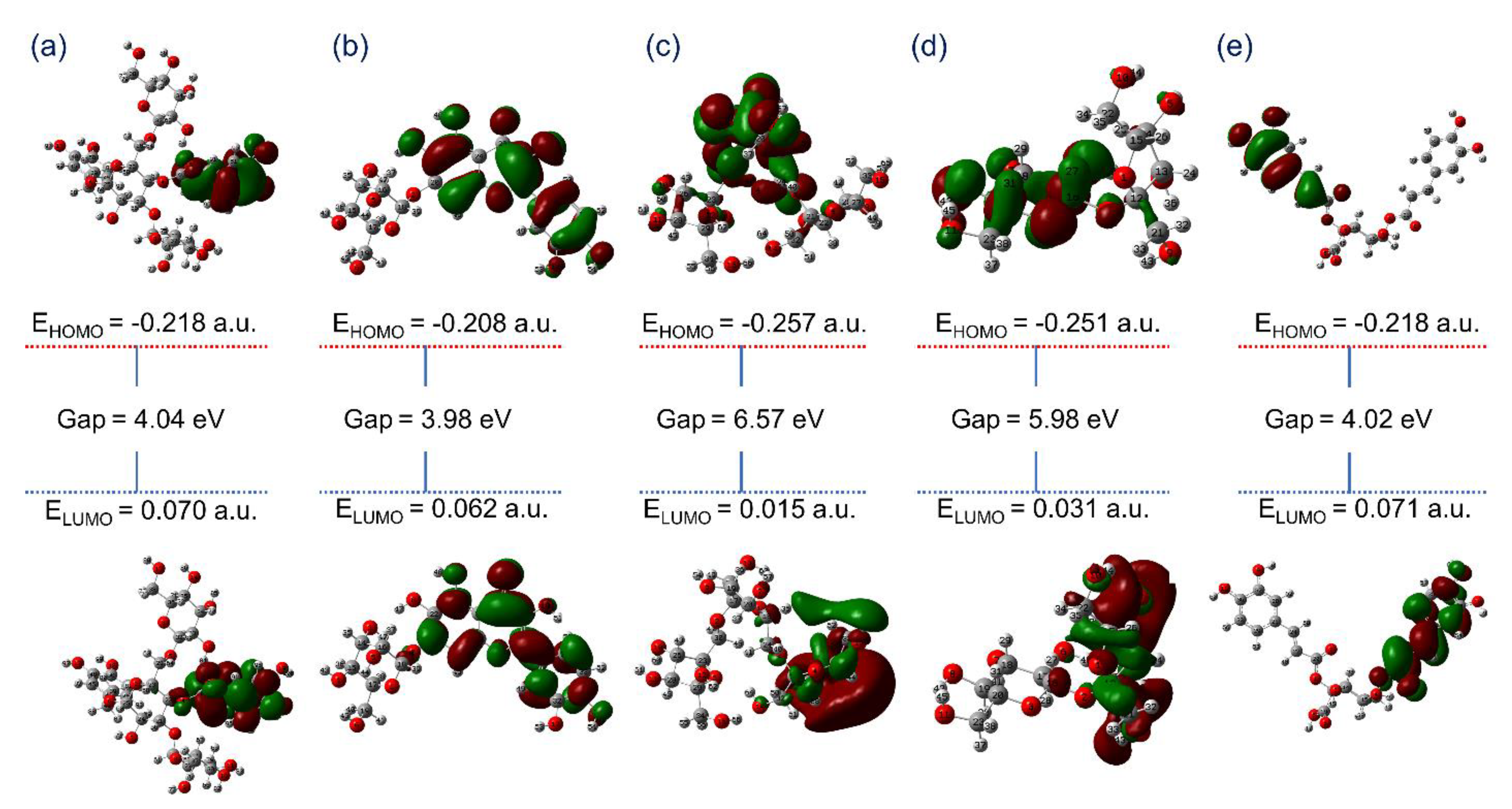 Viruses 13 00305 g003