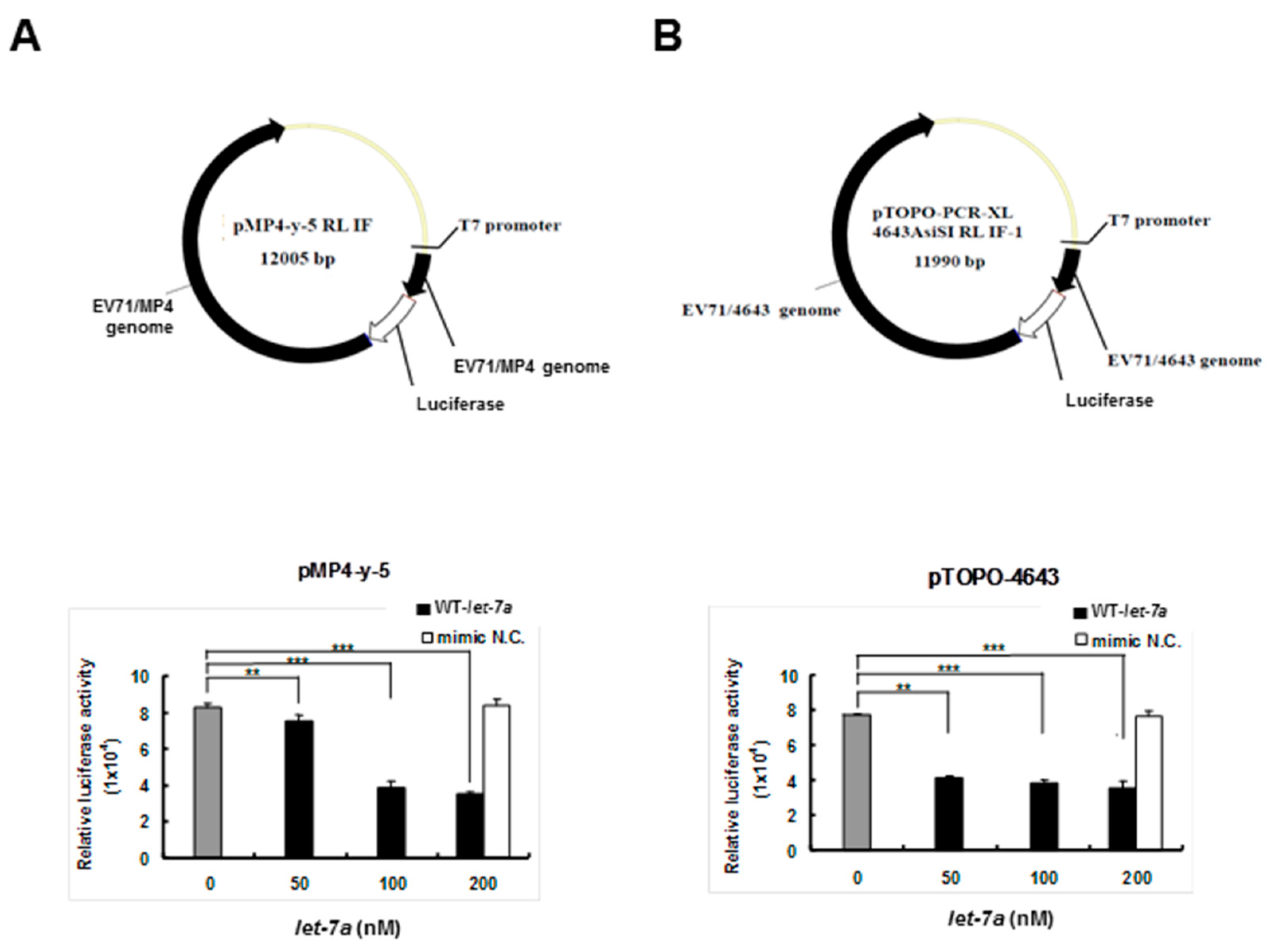 Viruses 13 00308 g002