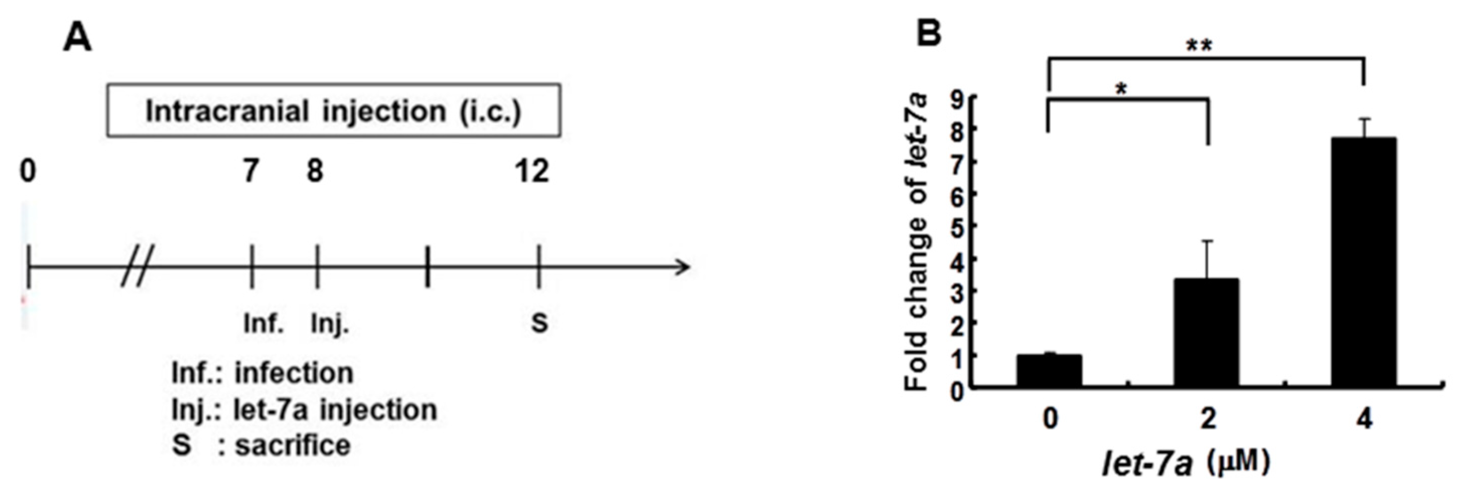 Viruses 13 00308 g006a