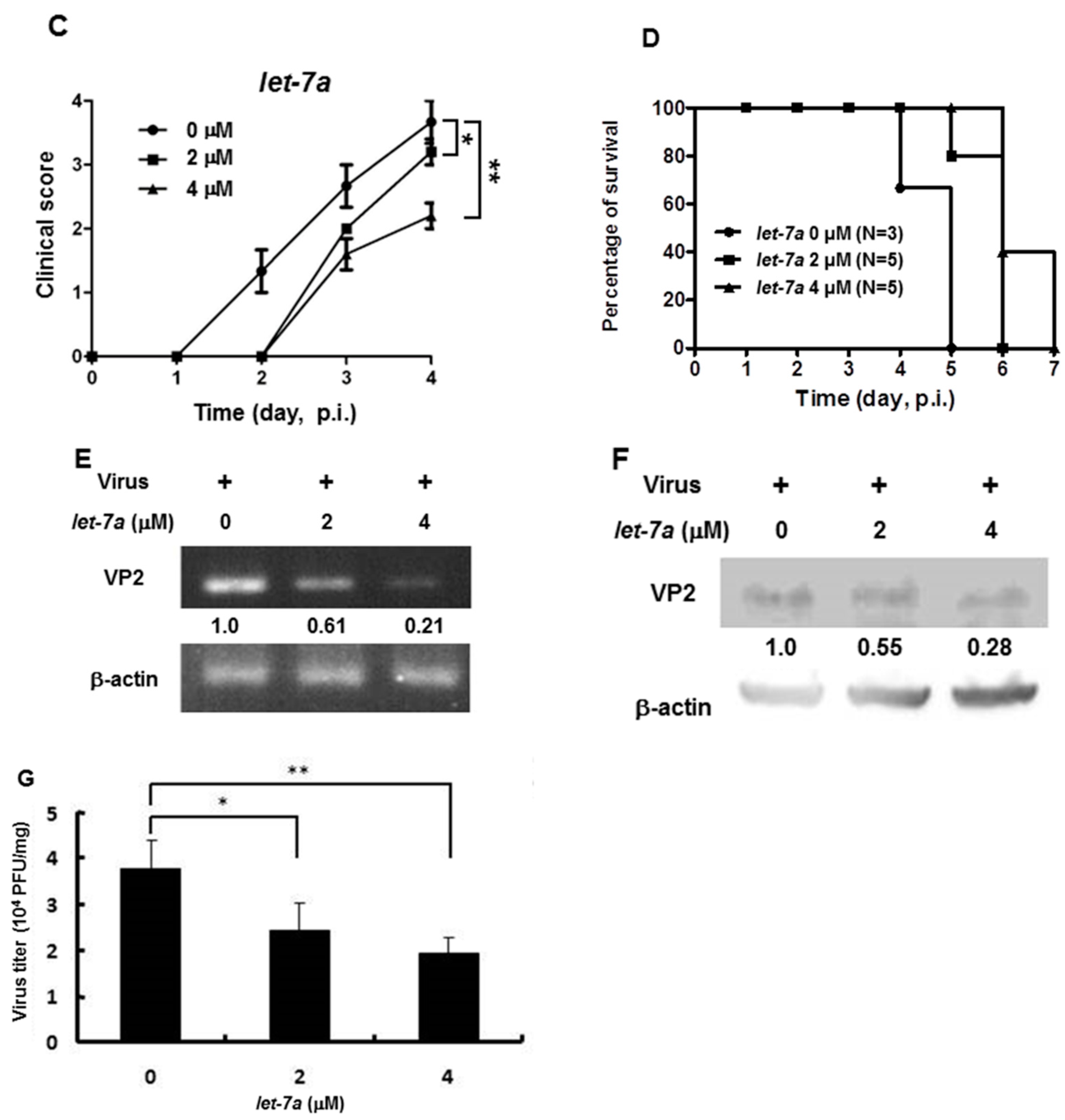 Viruses 13 00308 g006b