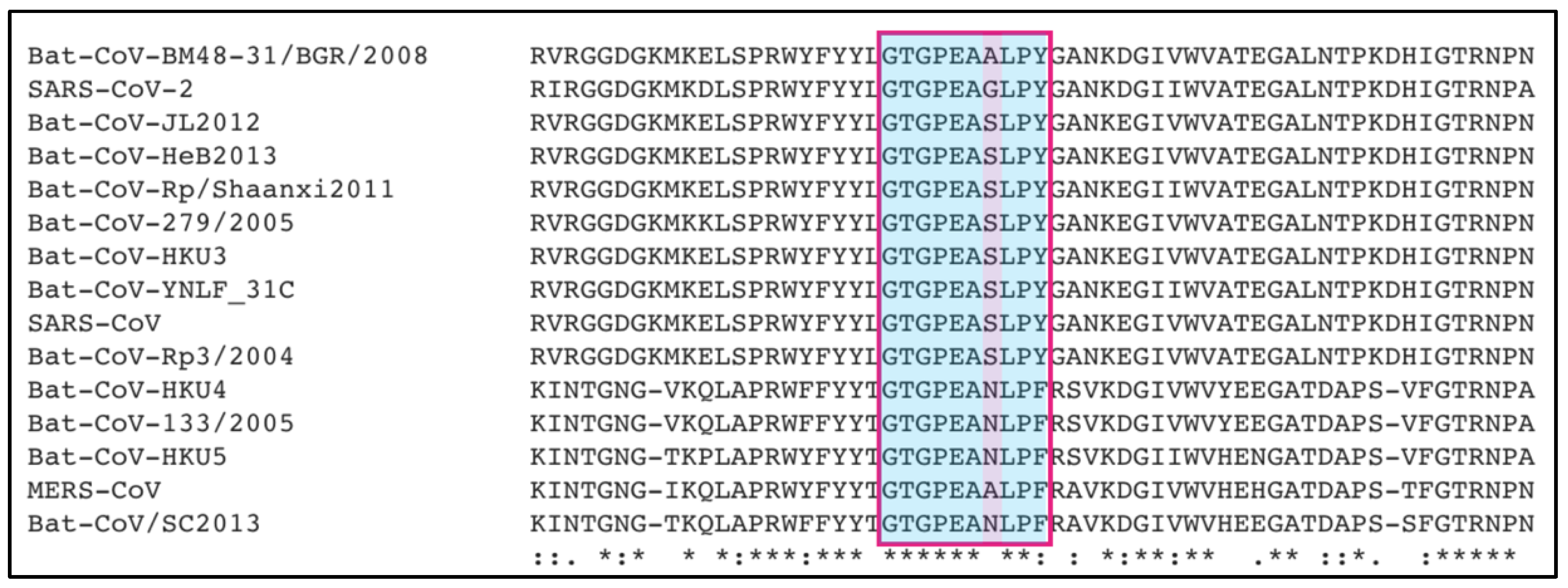 Viruses 13 00312 g002