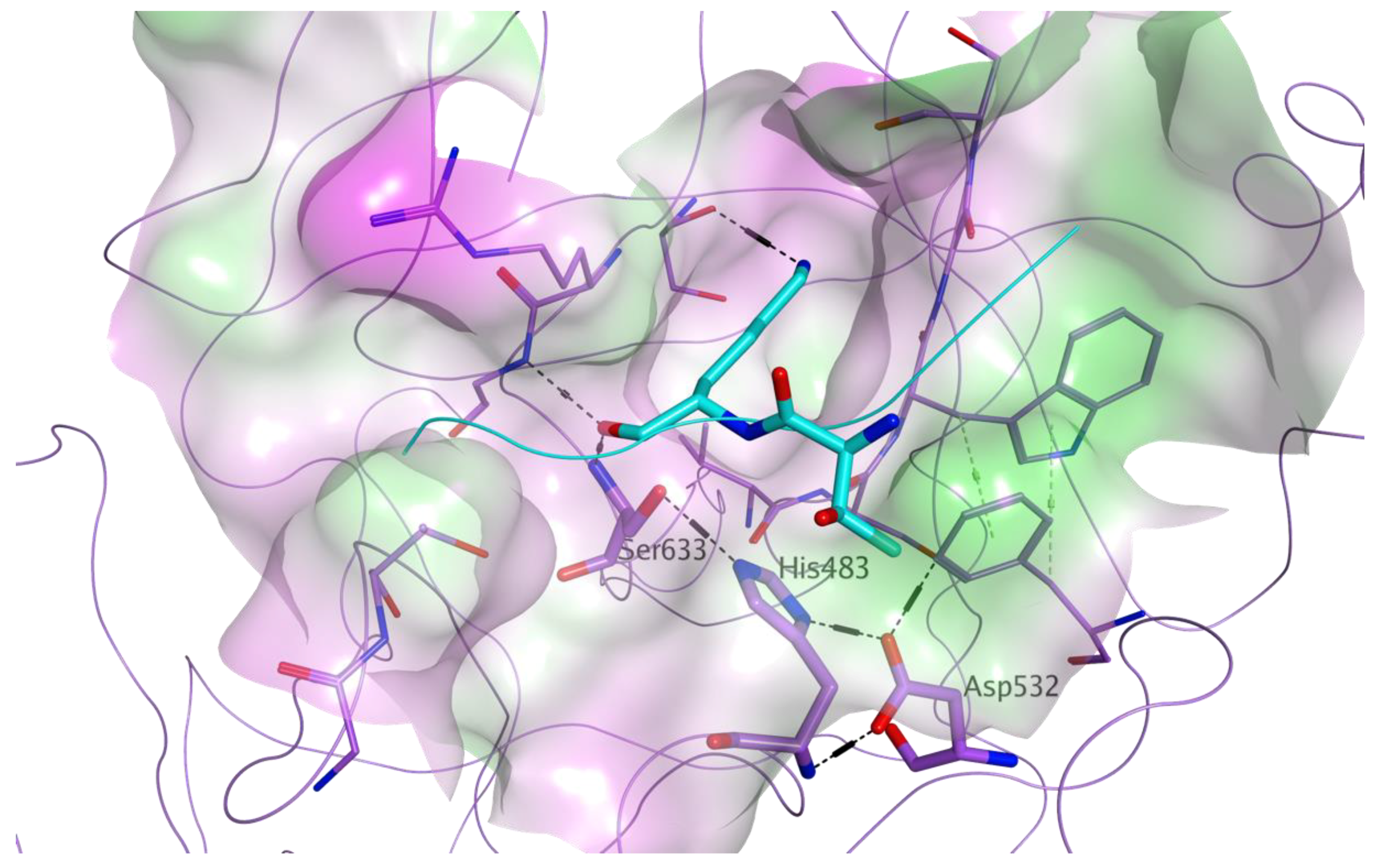 Viruses 13 00312 g003