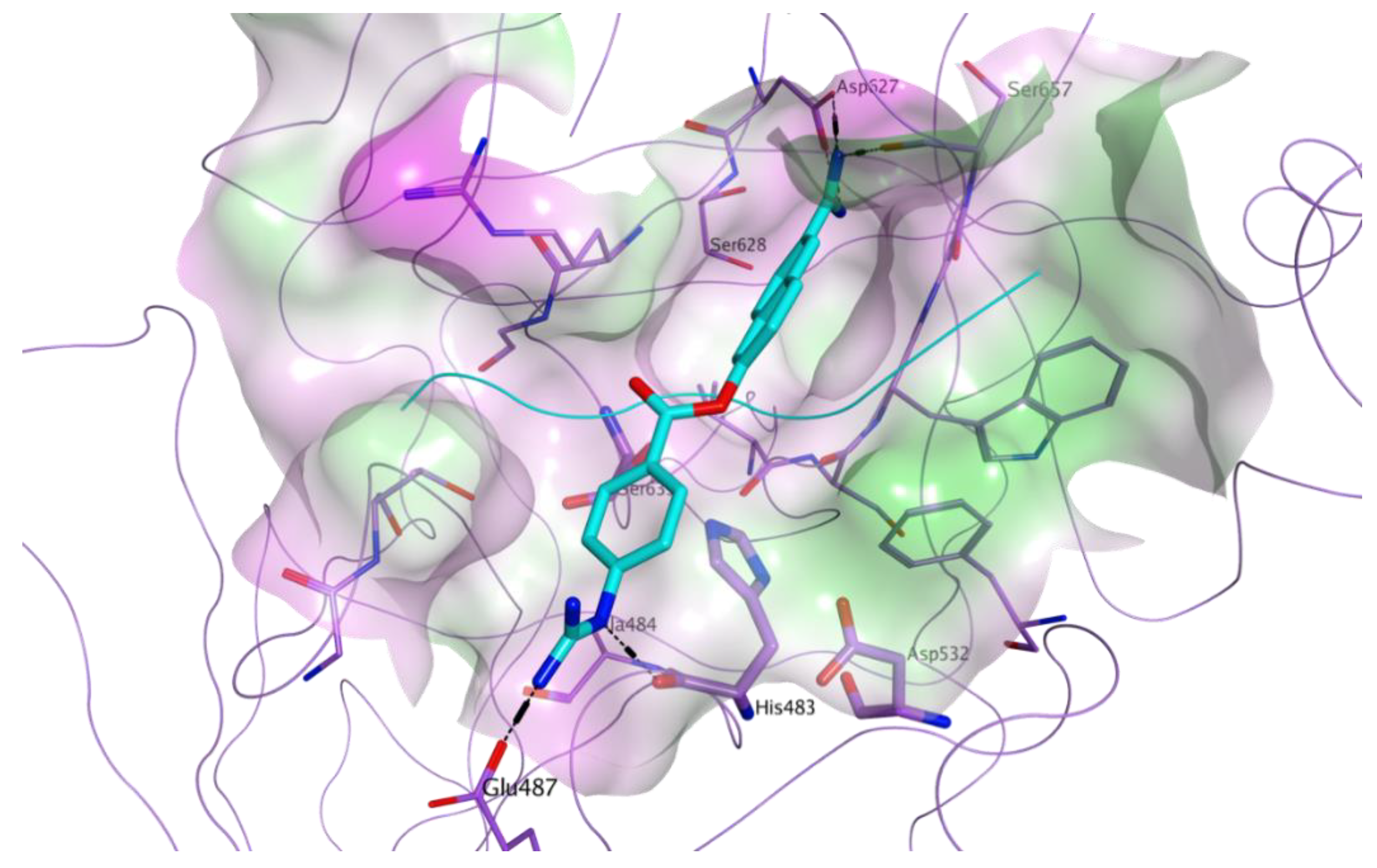 Viruses 13 00312 g005