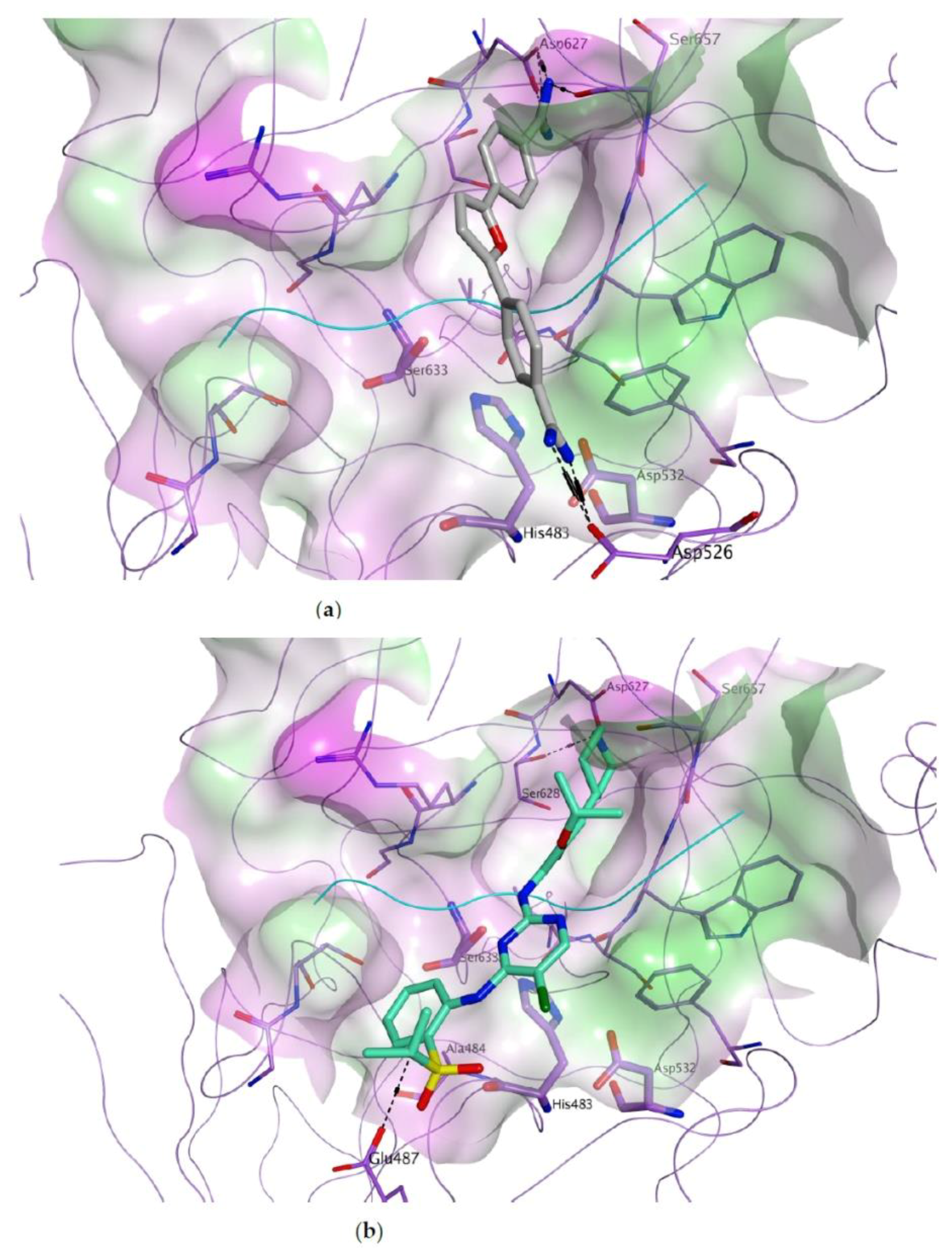 Viruses 13 00312 g008