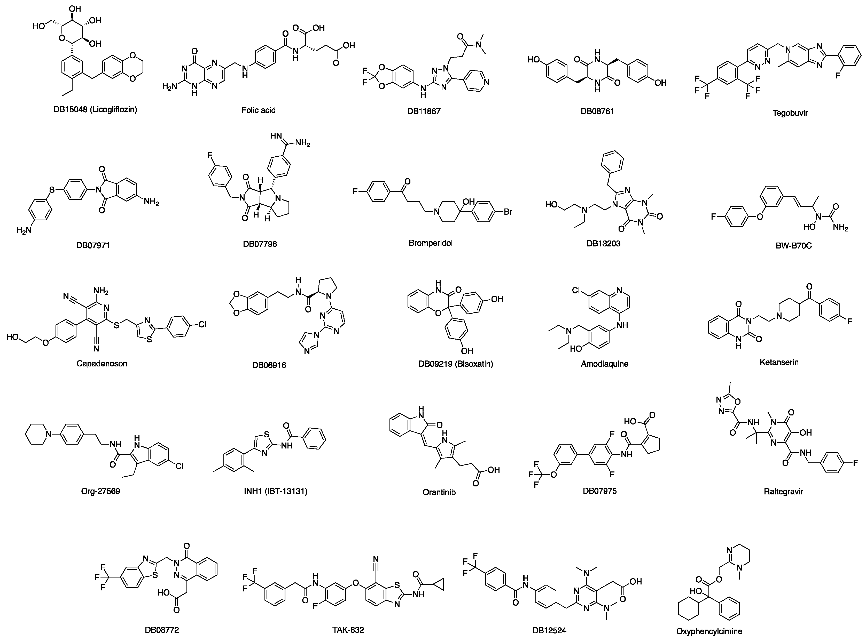Viruses 13 00312 g013