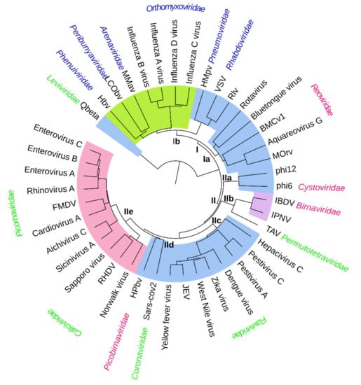 Viruses 13 00313 g002