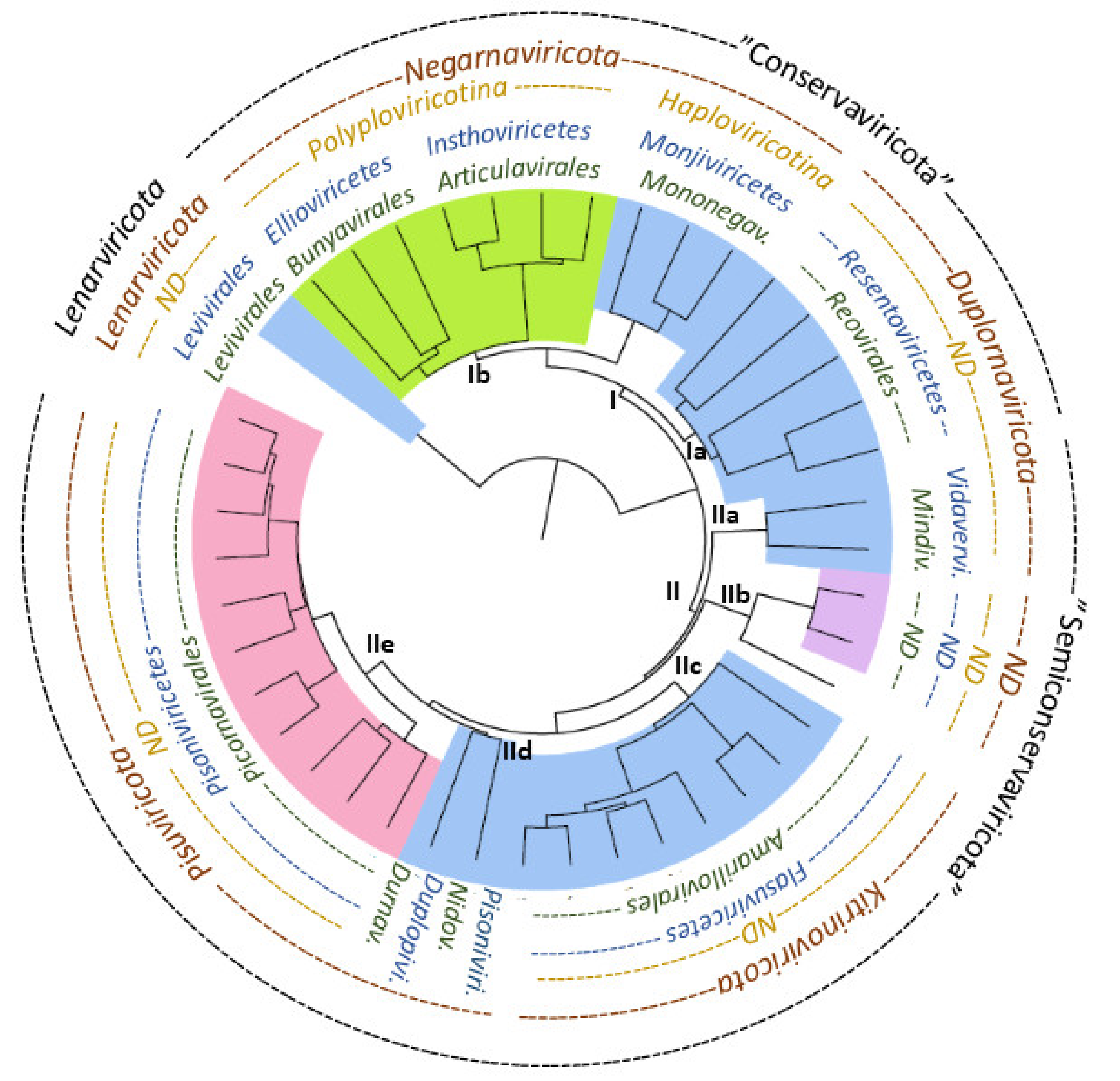 Viruses 13 00313 g003