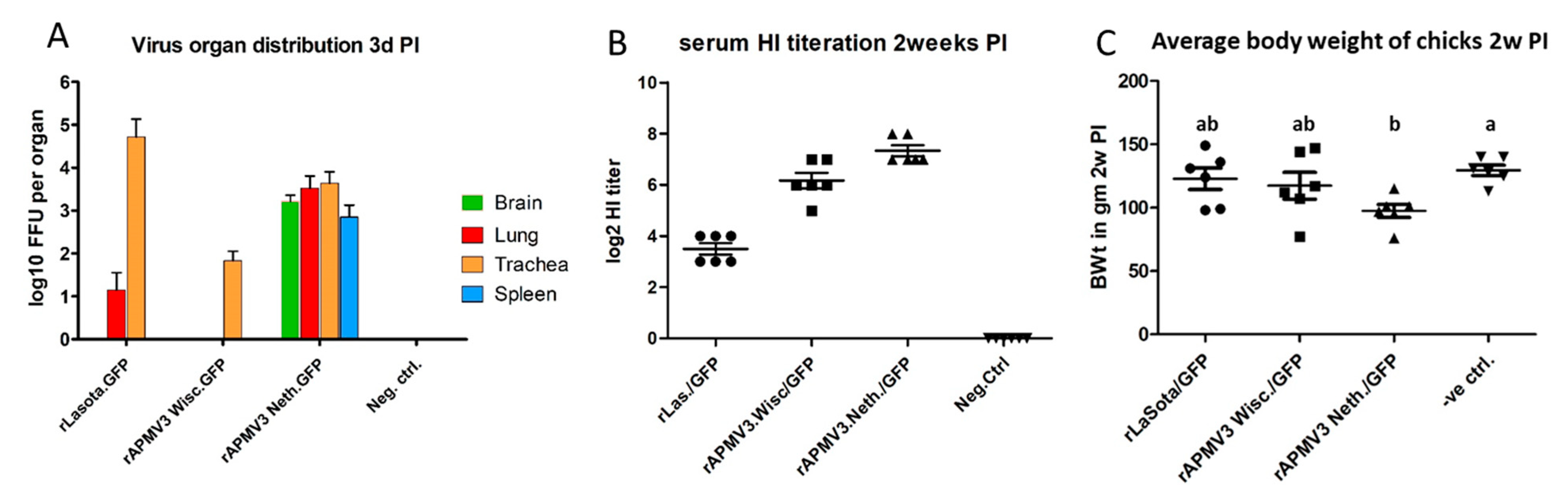 Viruses 13 00316 g004