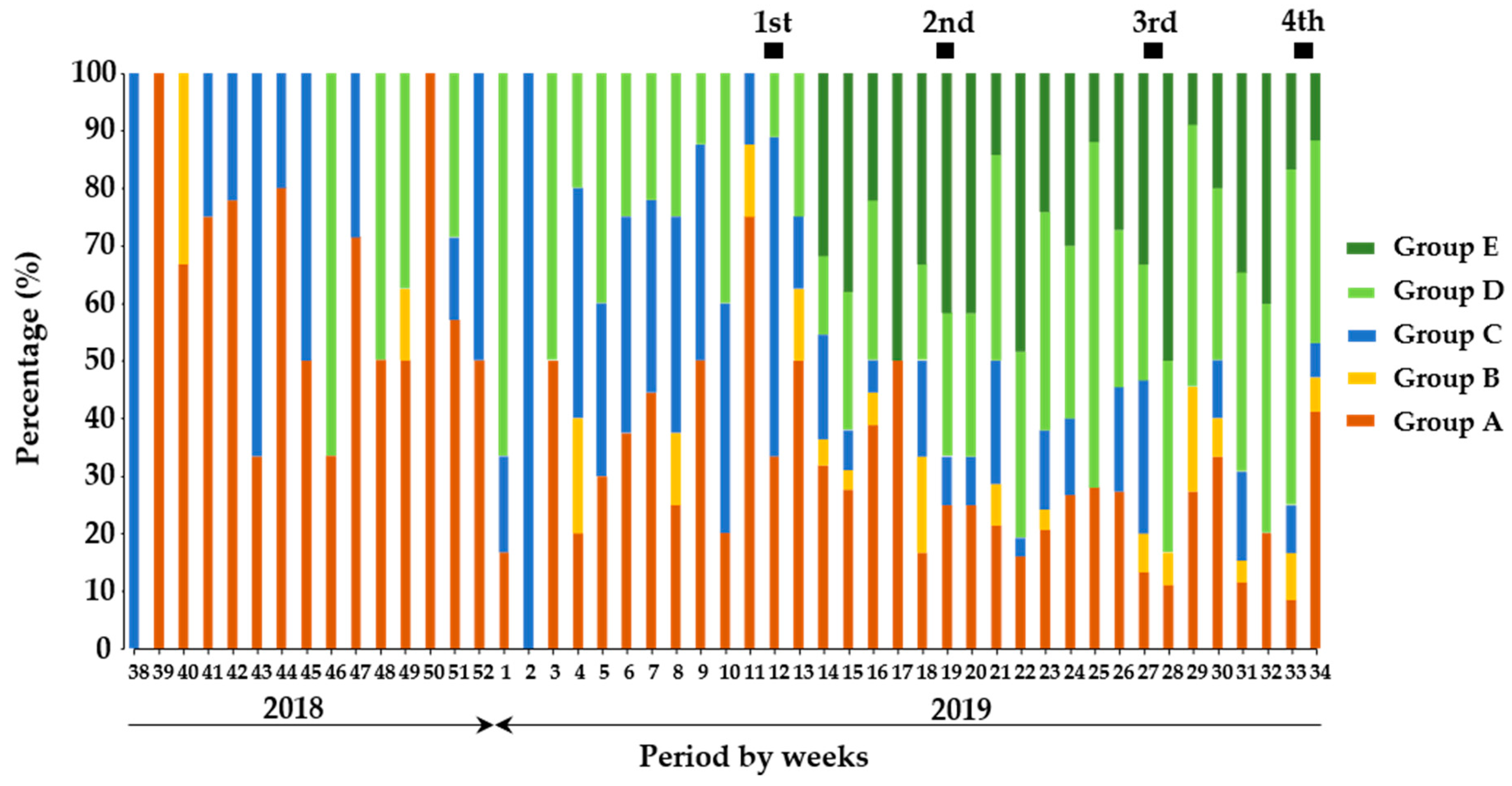 Viruses 13 00319 g002