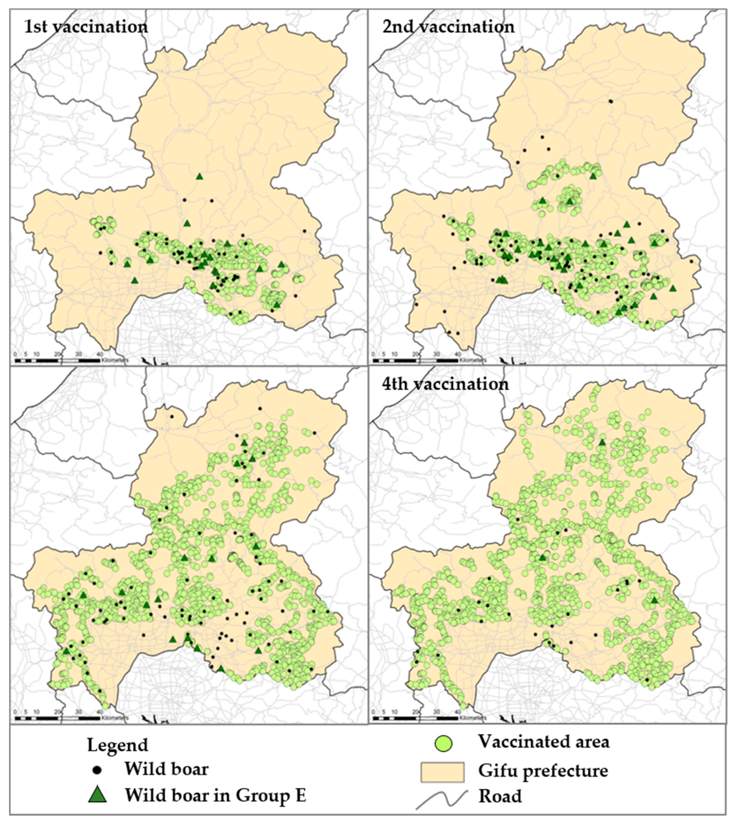 Viruses 13 00319 g003