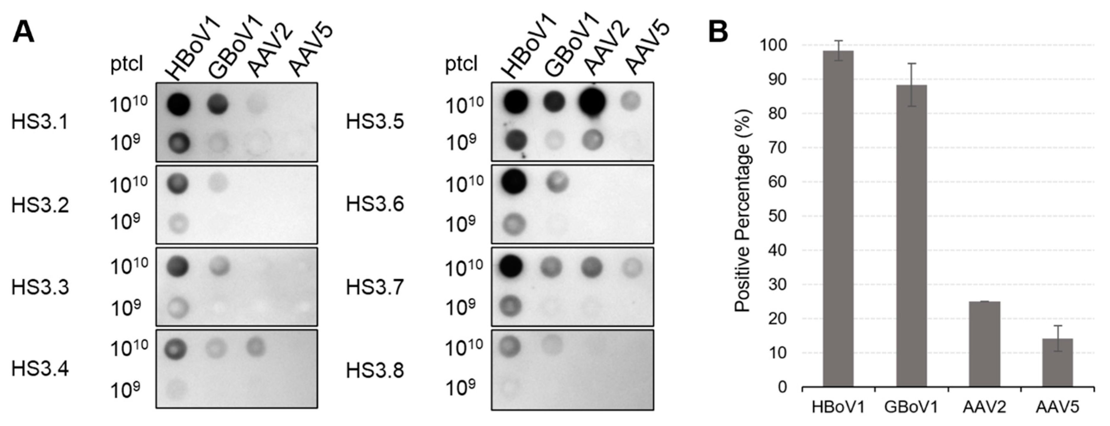 Viruses 13 00330 g008