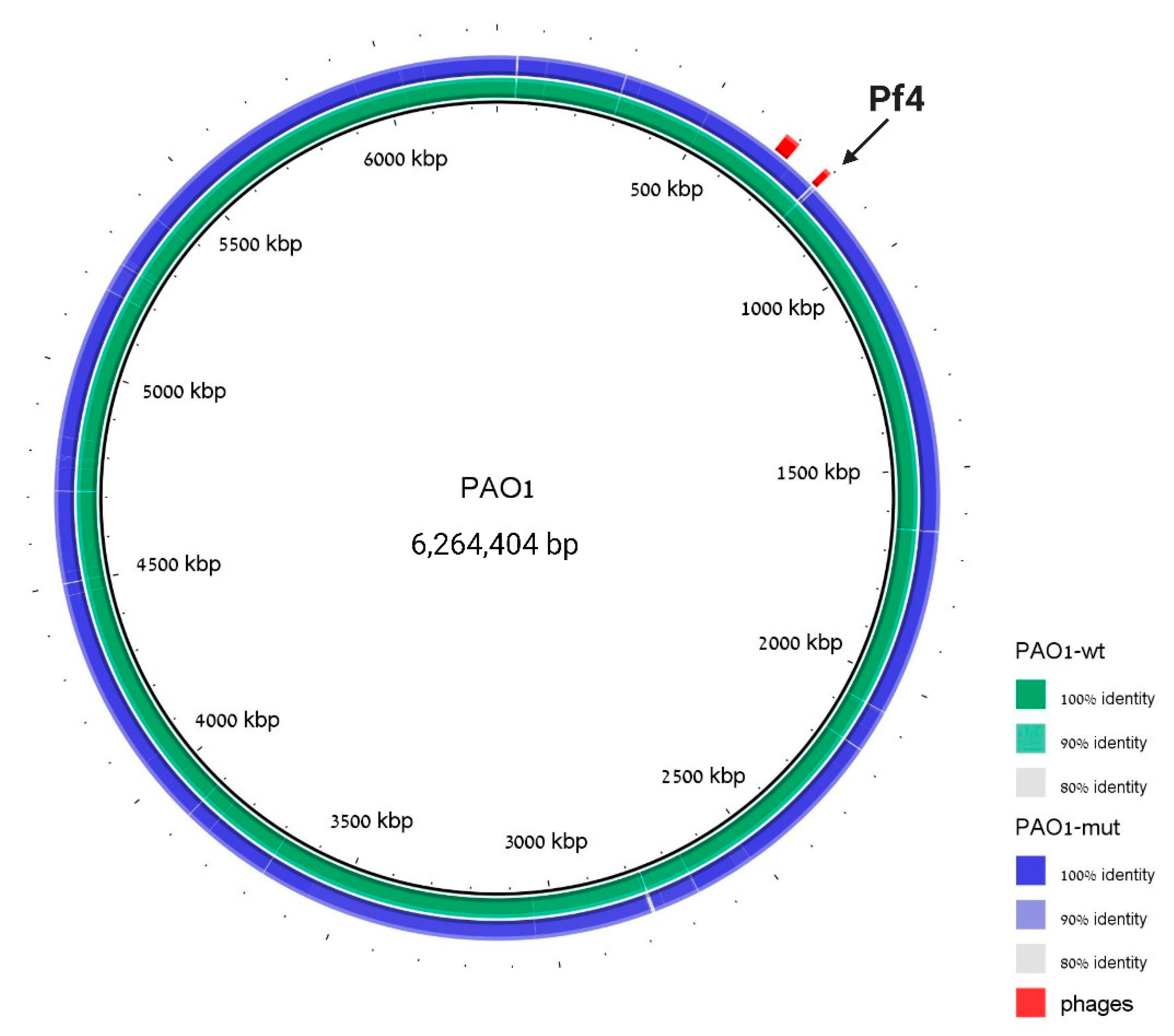 Viruses 13 00336 g003