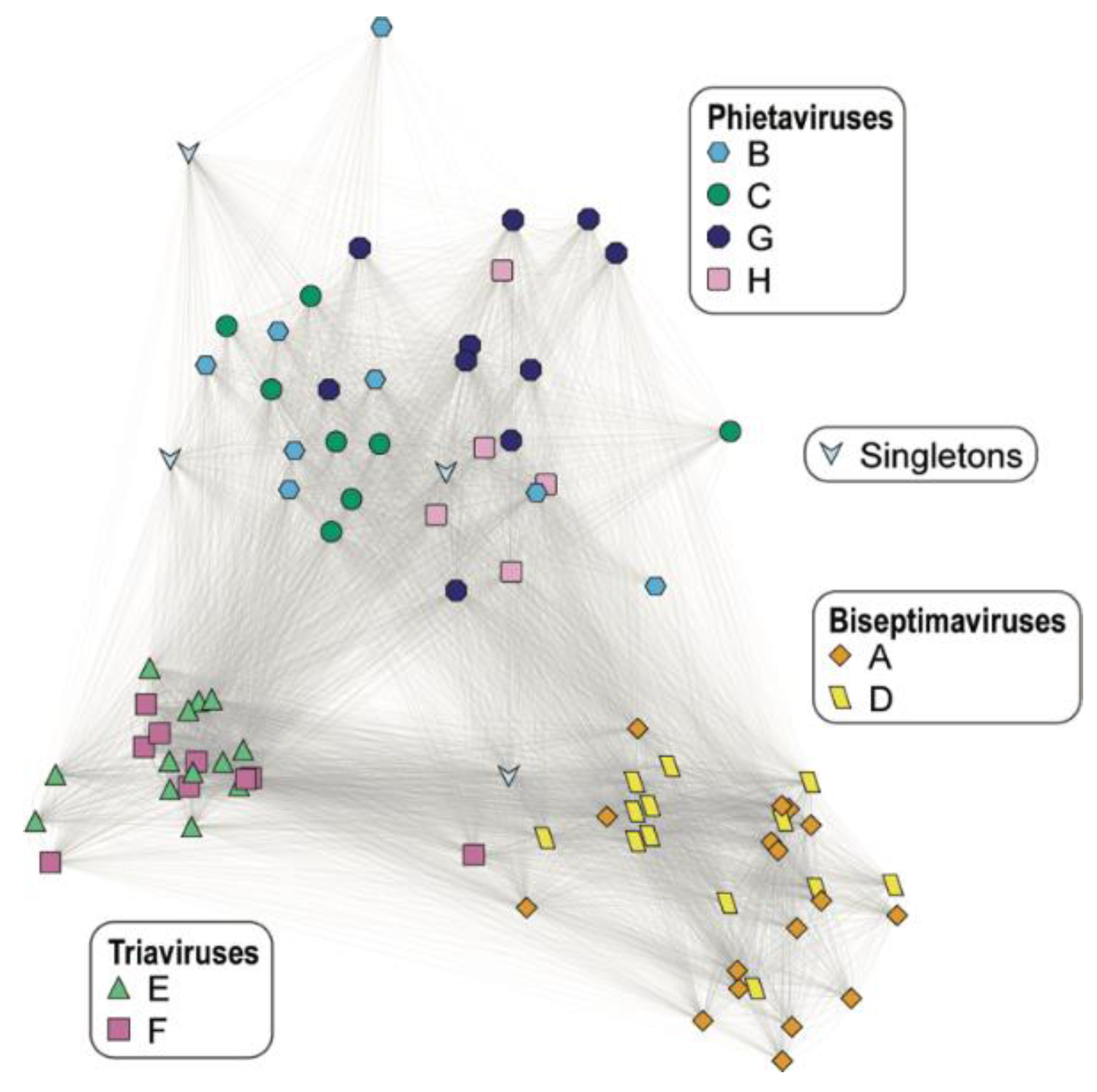 Viruses 13 00337 g001