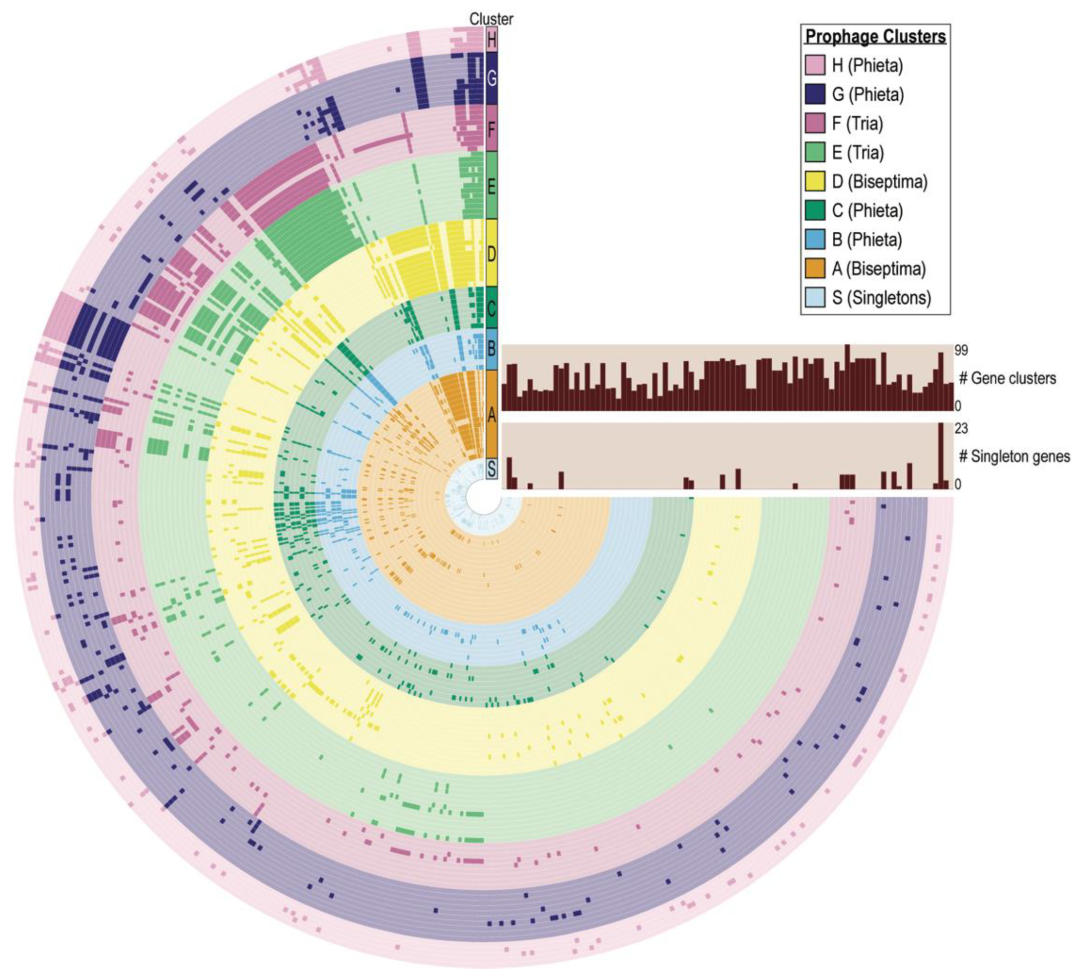 Viruses 13 00337 g002