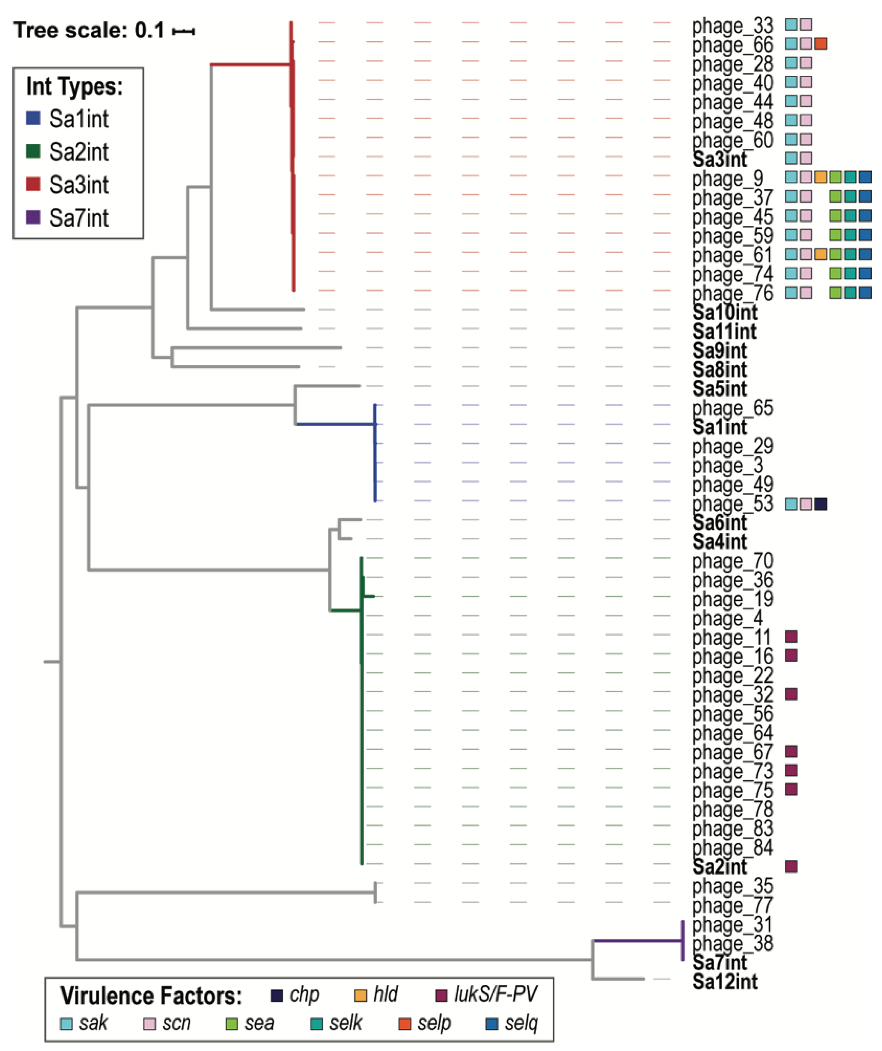 Viruses 13 00337 g003