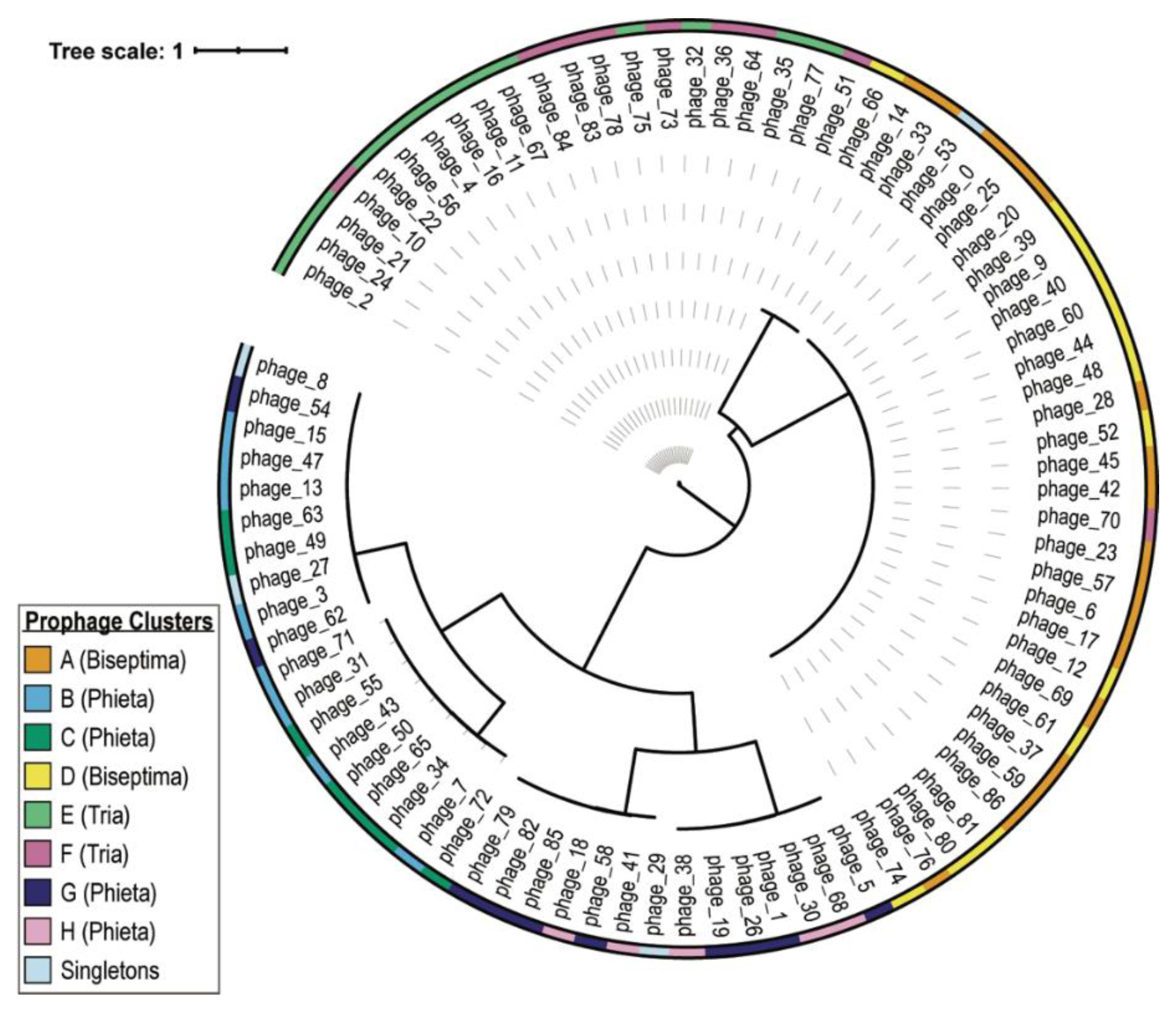 Viruses 13 00337 g004