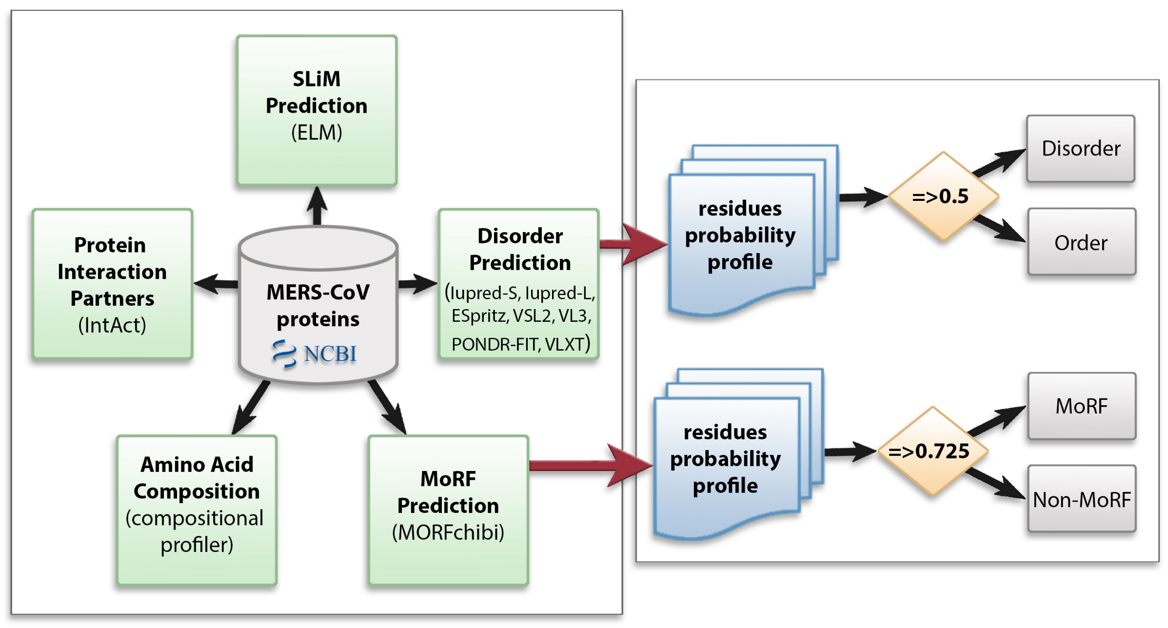 Viruses 13 00339 g001
