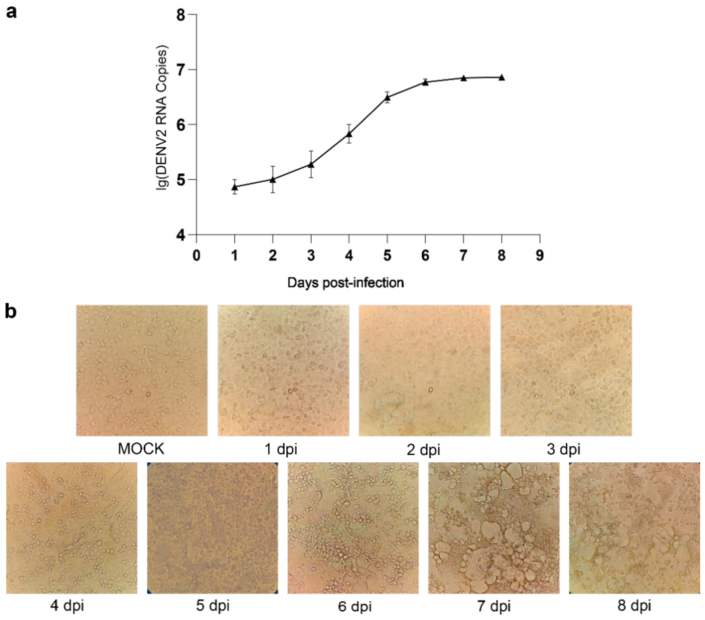 Viruses 13 00343 g001