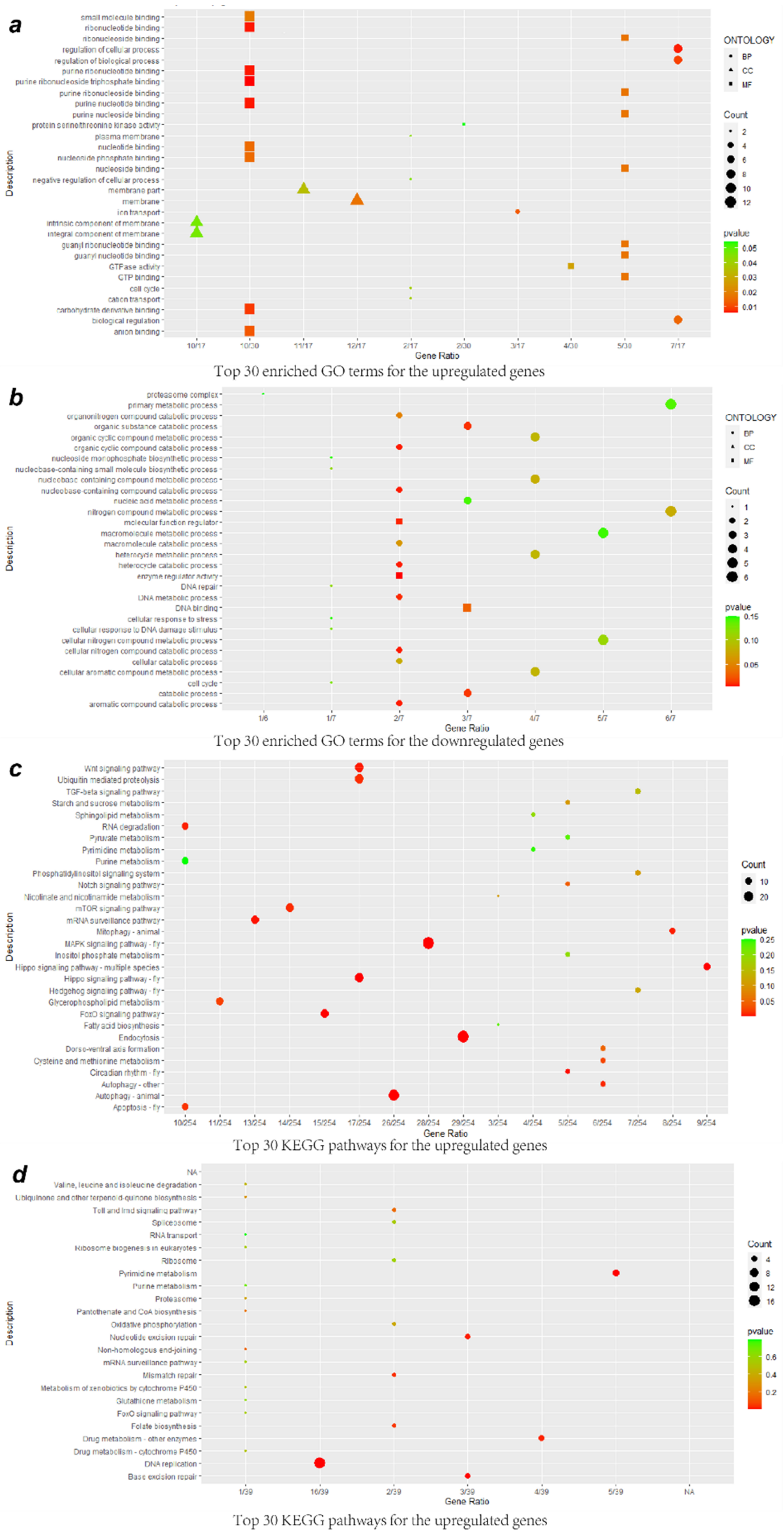 Viruses 13 00343 g003