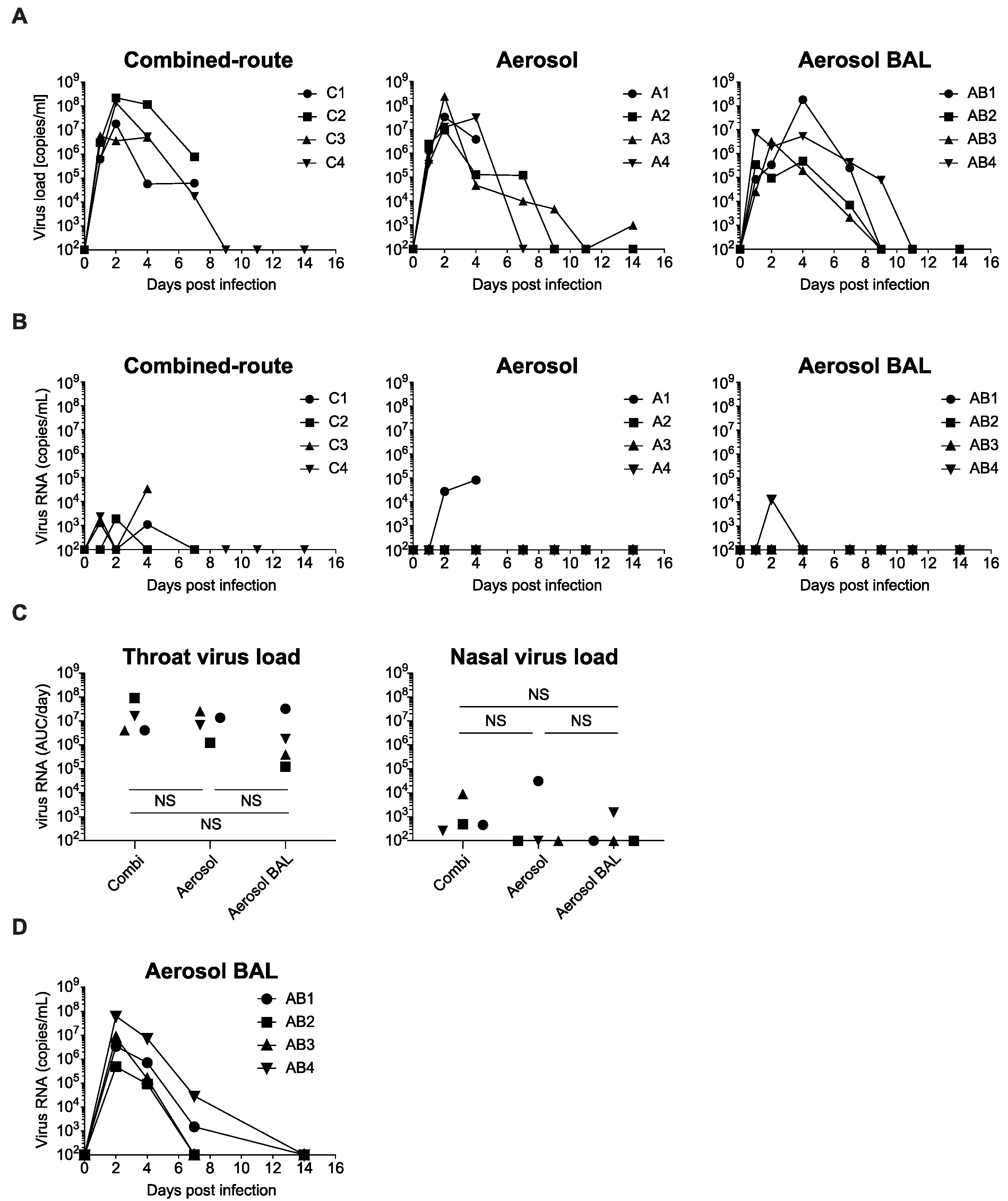 Viruses 13 00345 g001