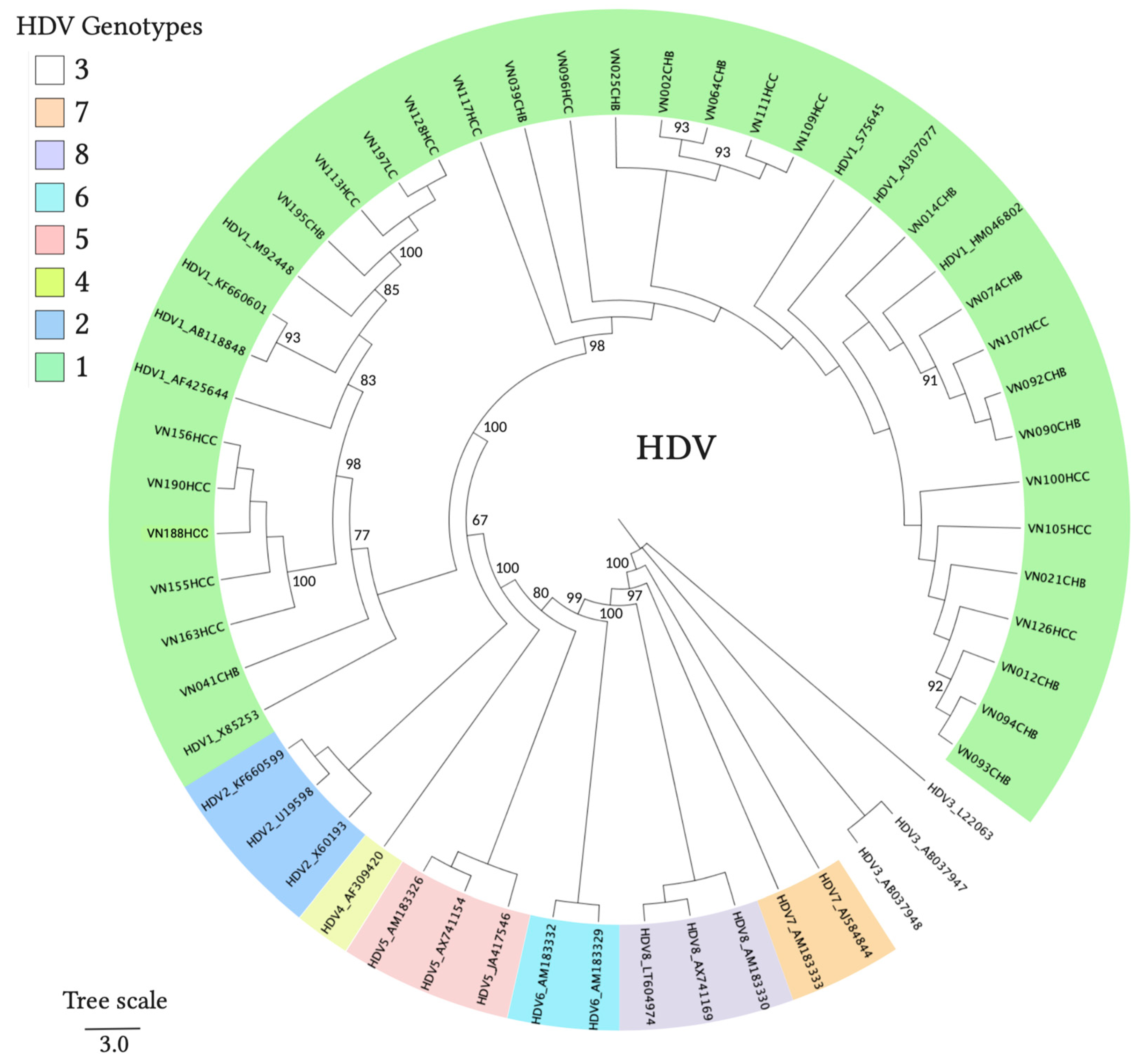 Viruses 13 00346 g004