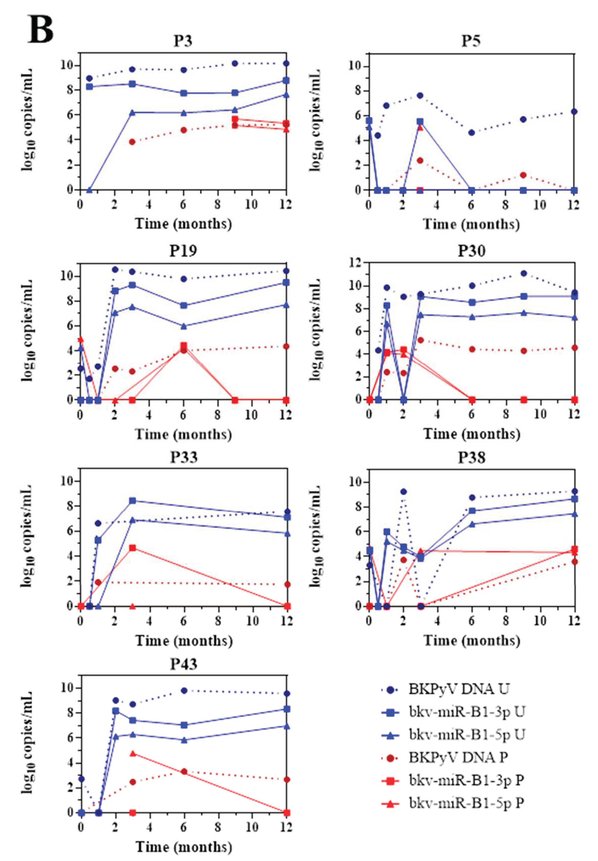 Viruses 13 00351 g002b