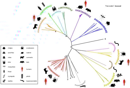 Viruses 13 00353 g001