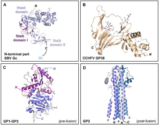 Viruses 13 00353 g007