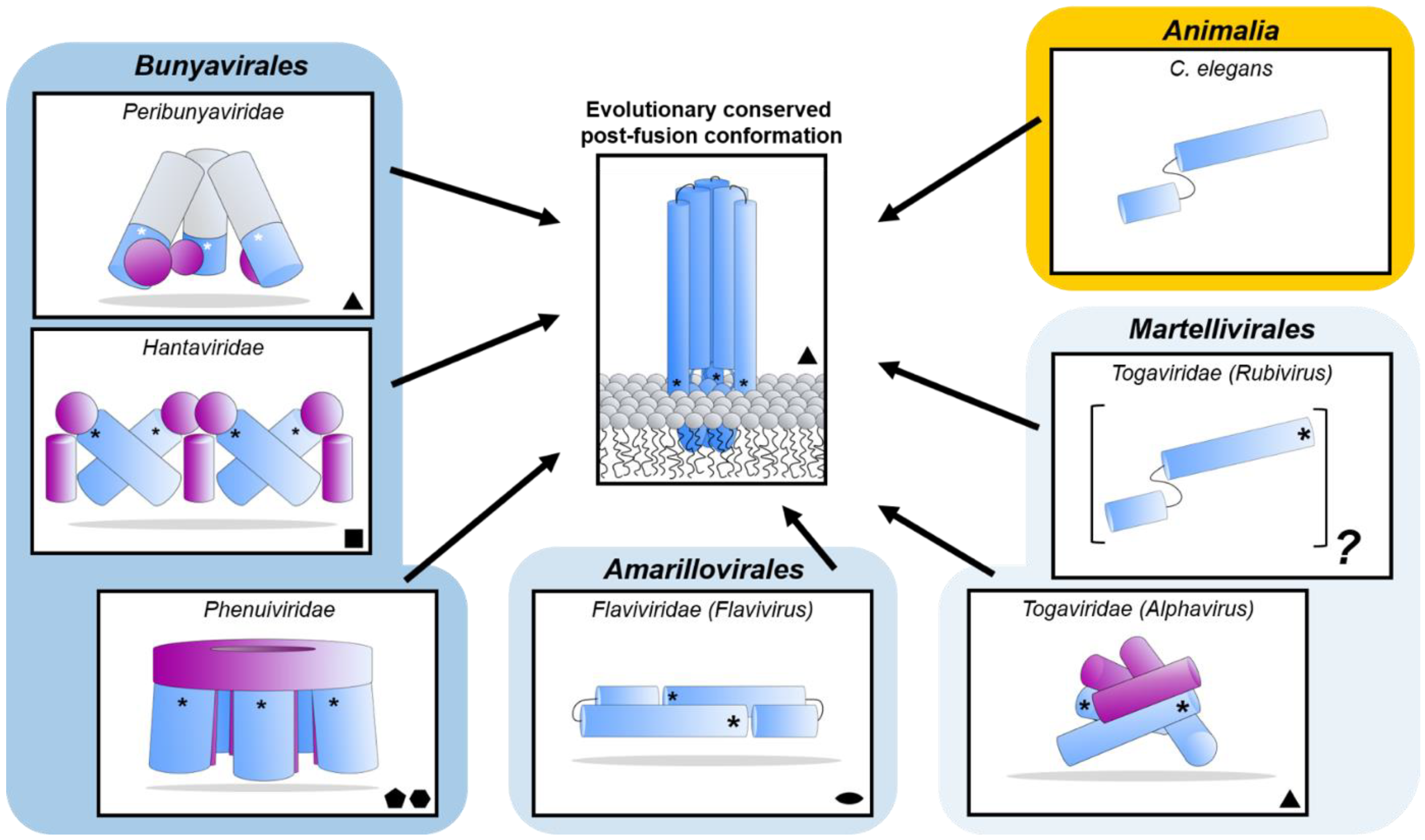 Viruses 13 00353 g008