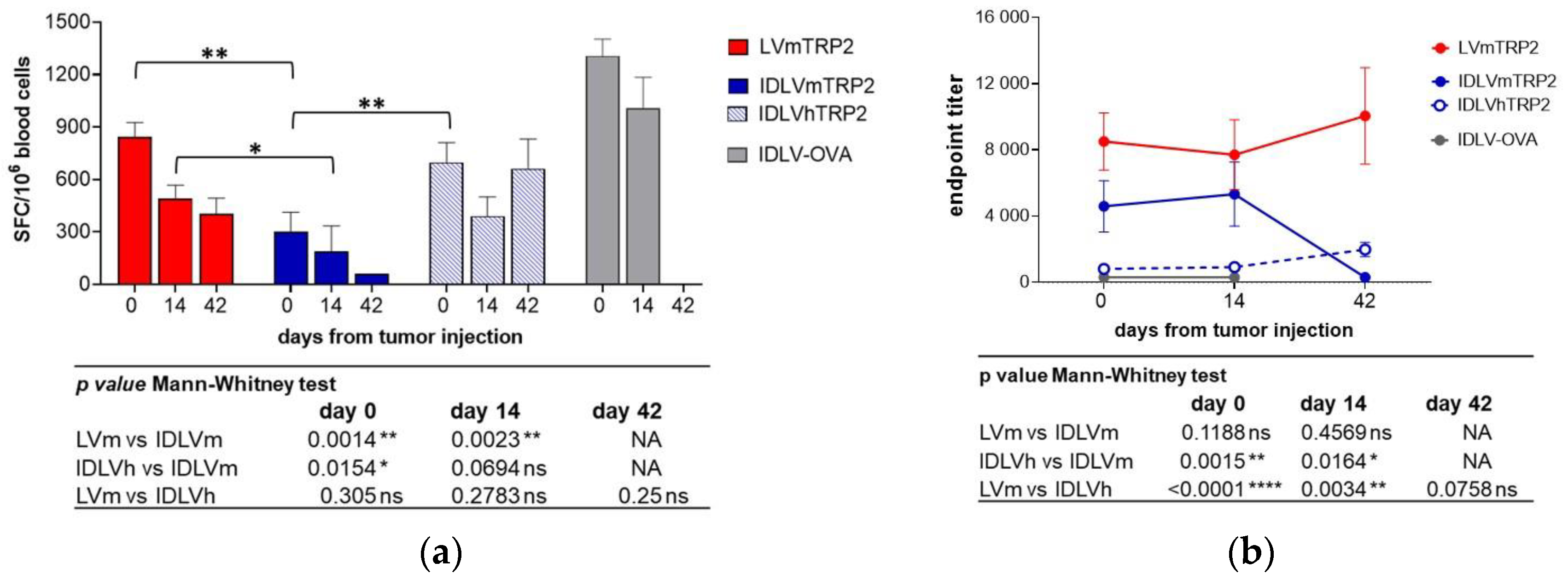 Viruses 13 00355 g008