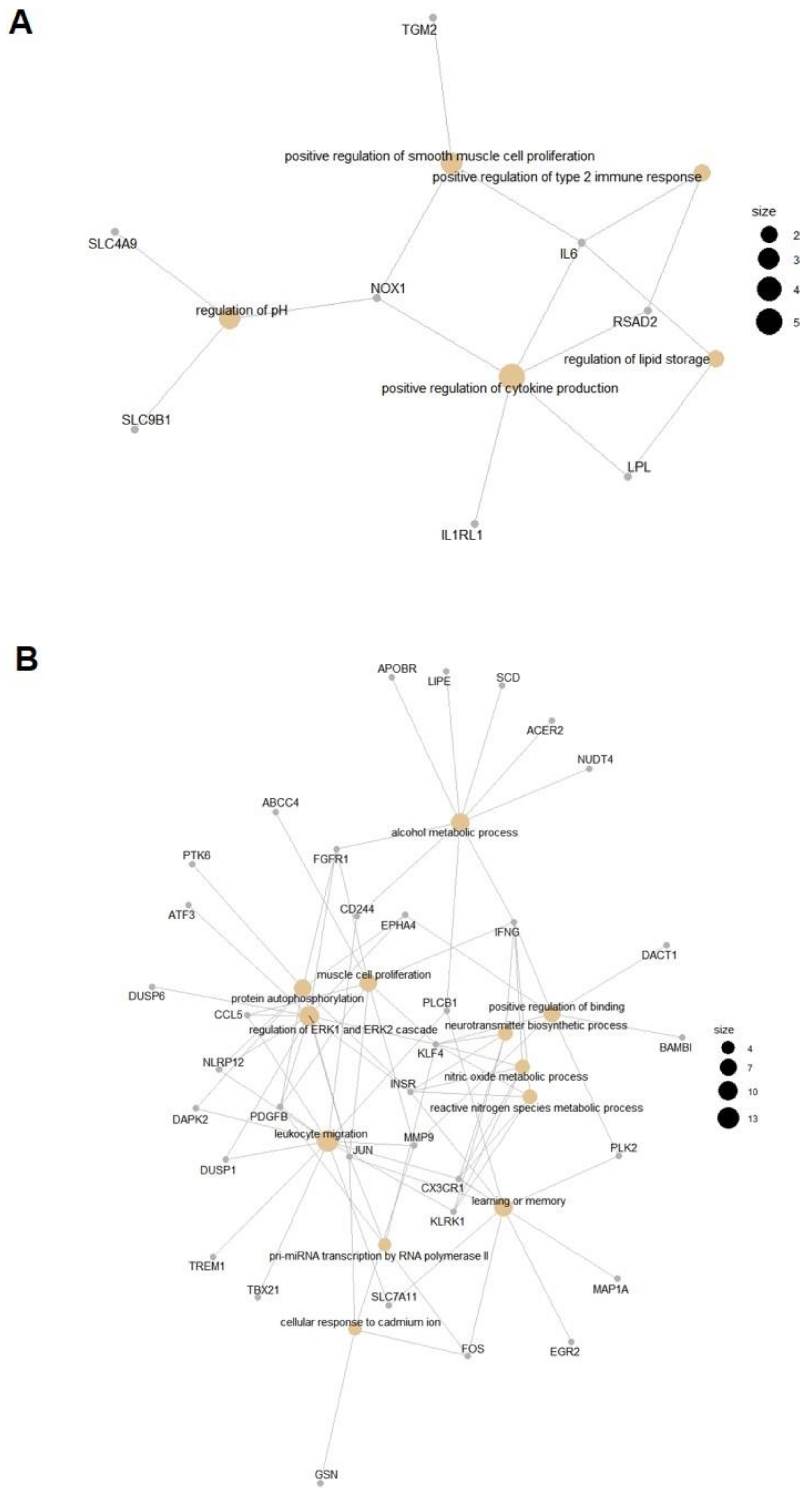 Viruses 13 00356 g008 Viruses 13 00356 g008