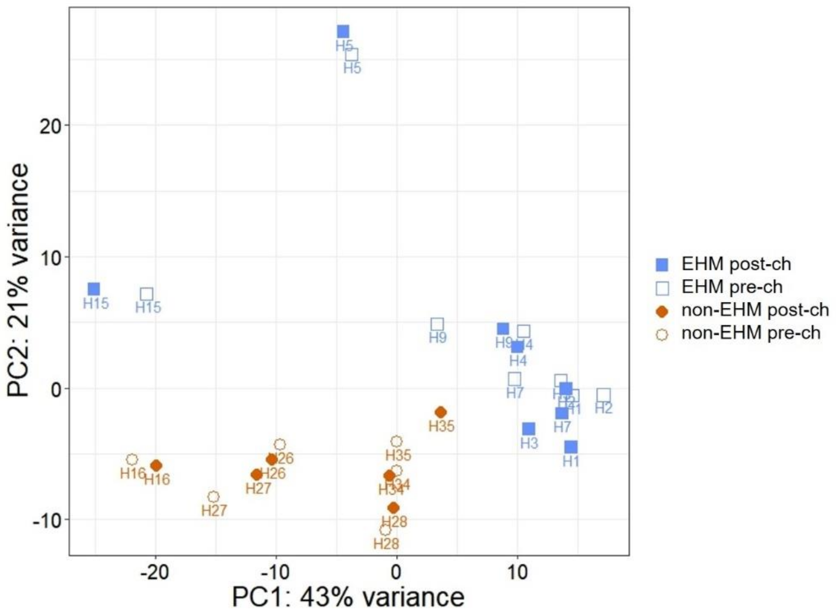 Viruses 13 00356 g012 Viruses 13 00356 g012