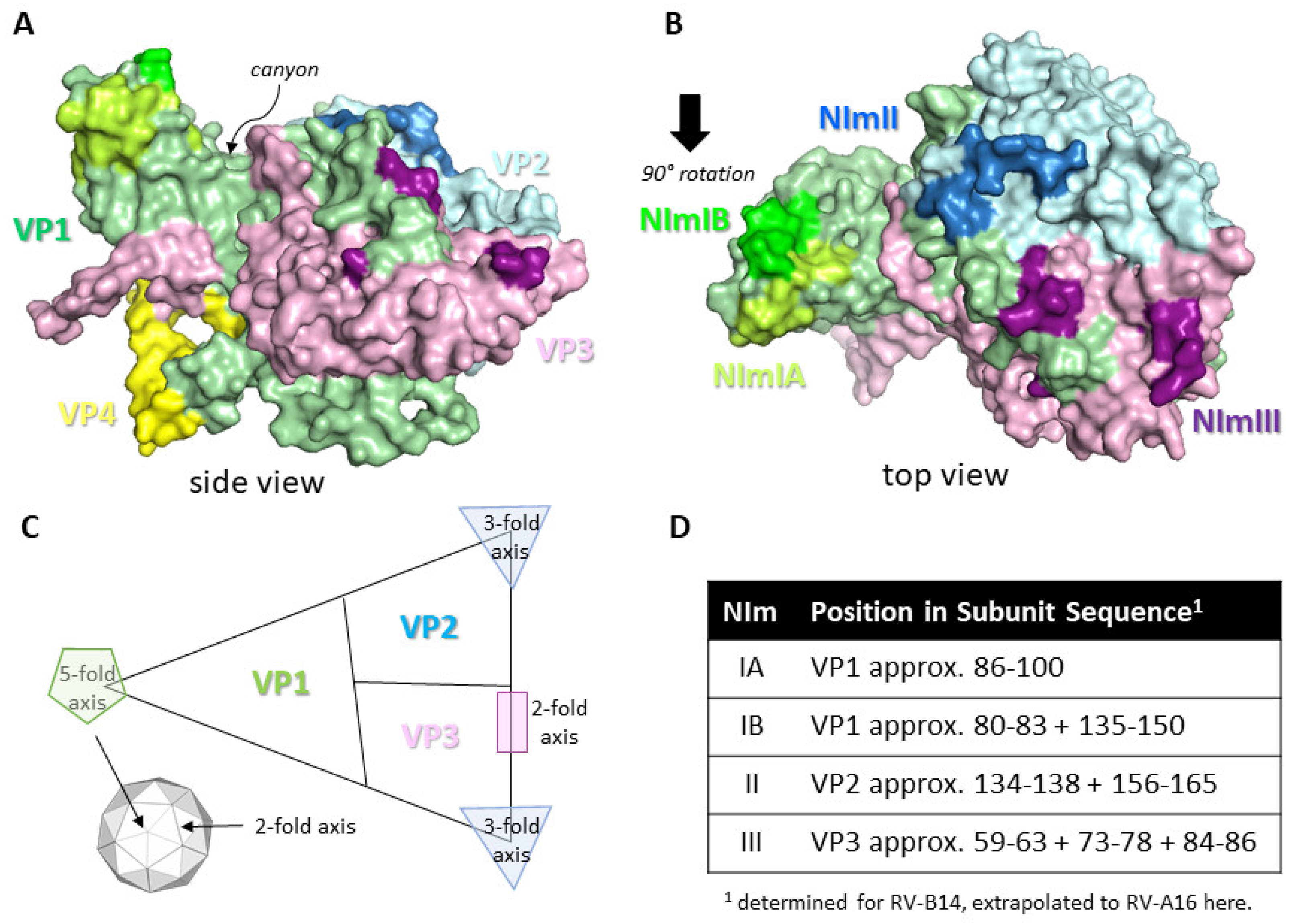 Viruses 13 00360 g001 Viruses 13 00360 g001