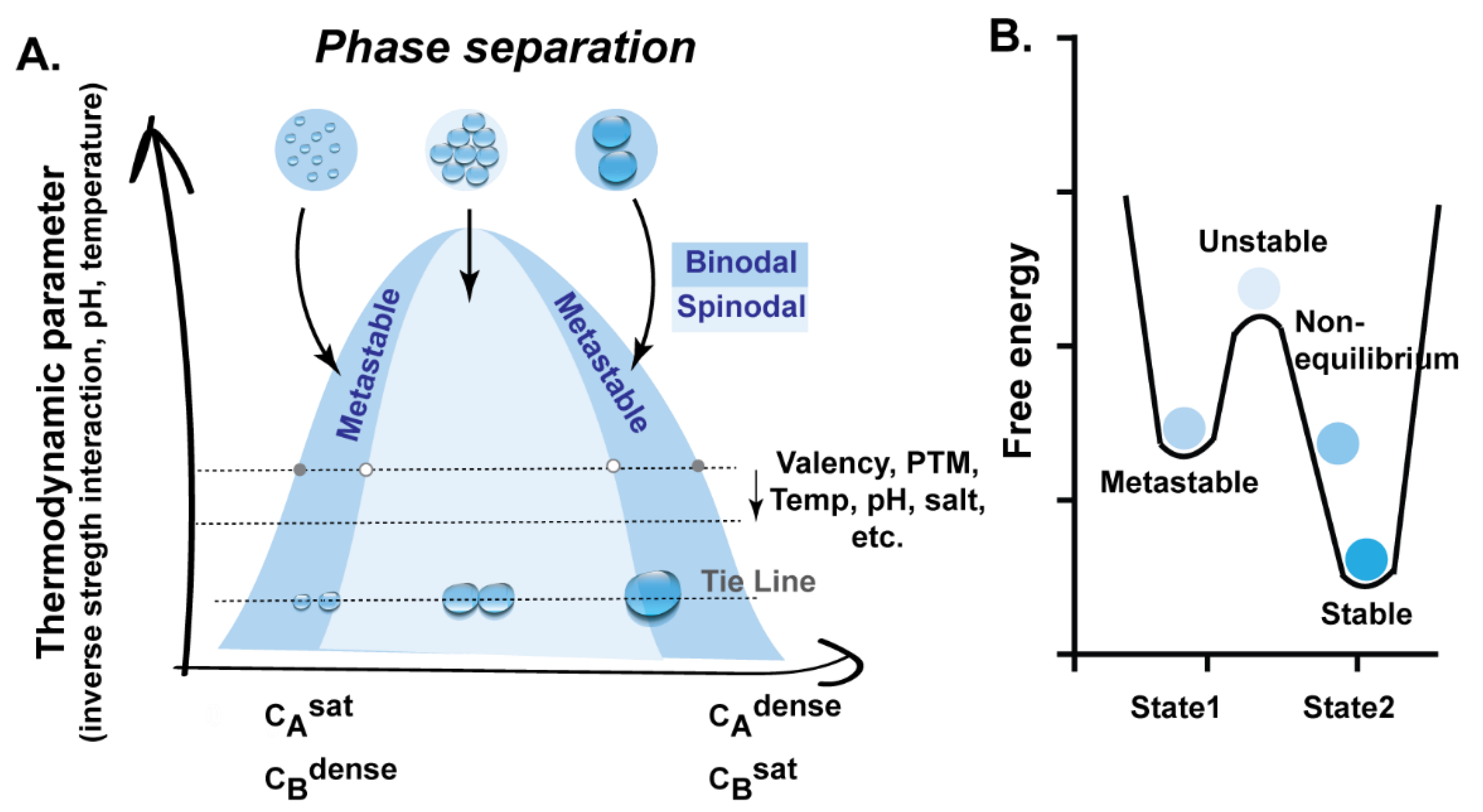 Viruses 13 00366 g001