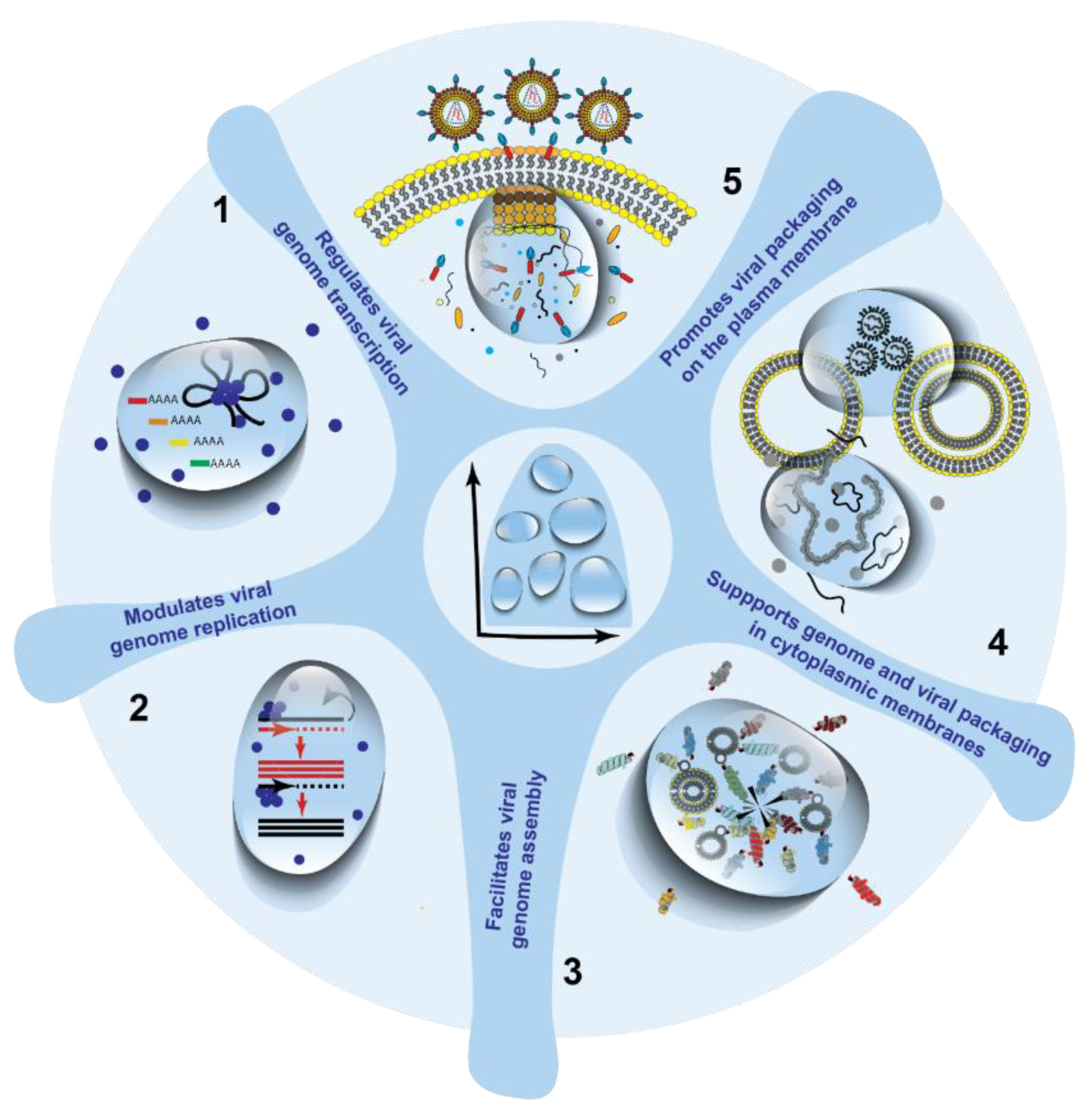 Viruses 13 00366 g007