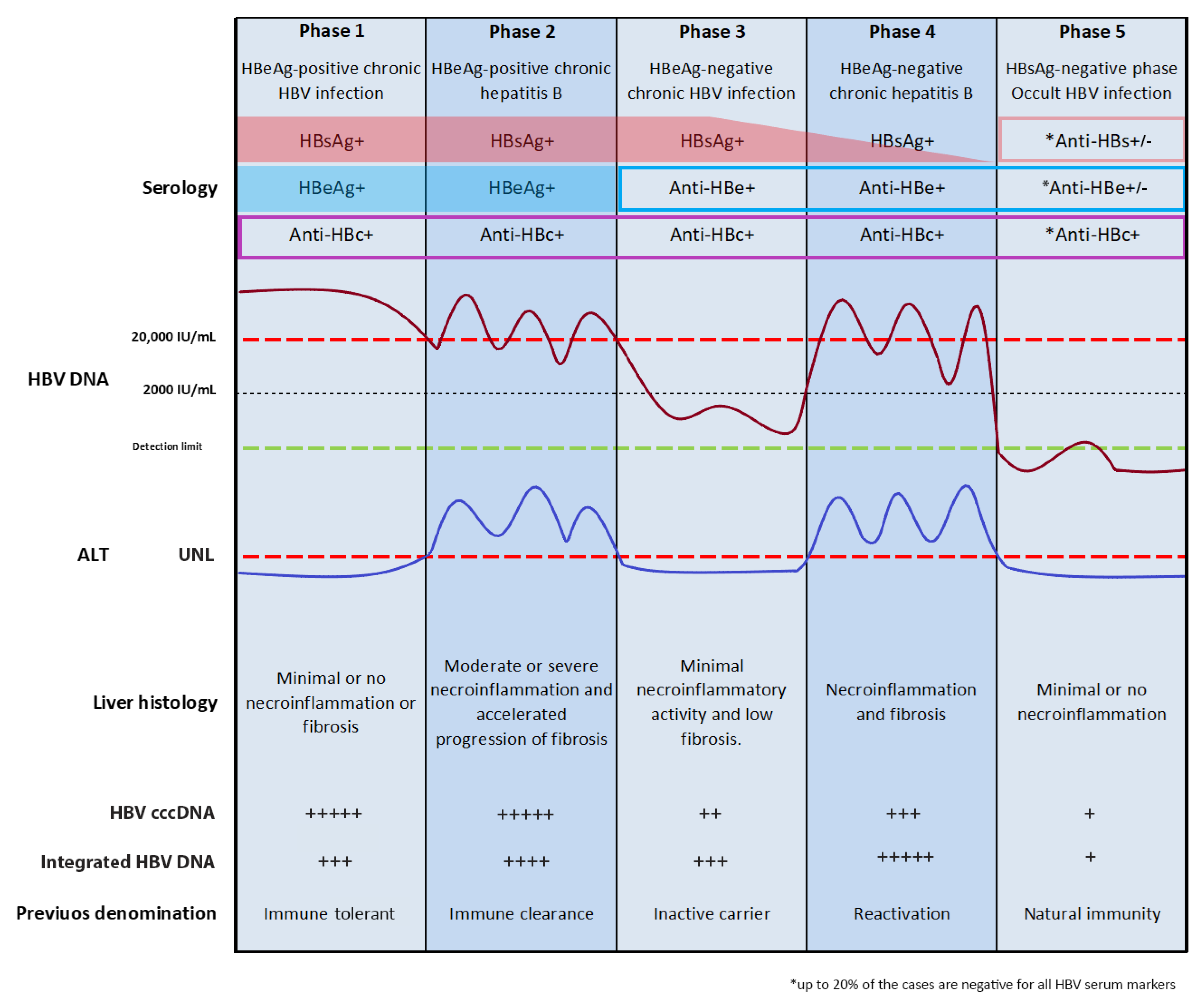 Viruses 13 00368 g001 Viruses 13 00368 g001