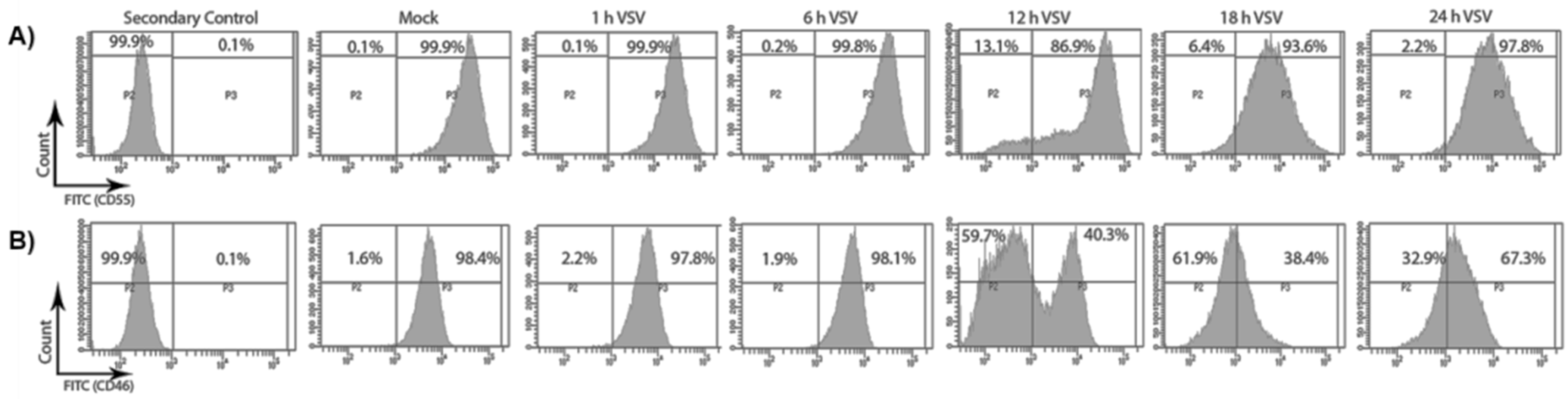 Viruses 13 00373 g002