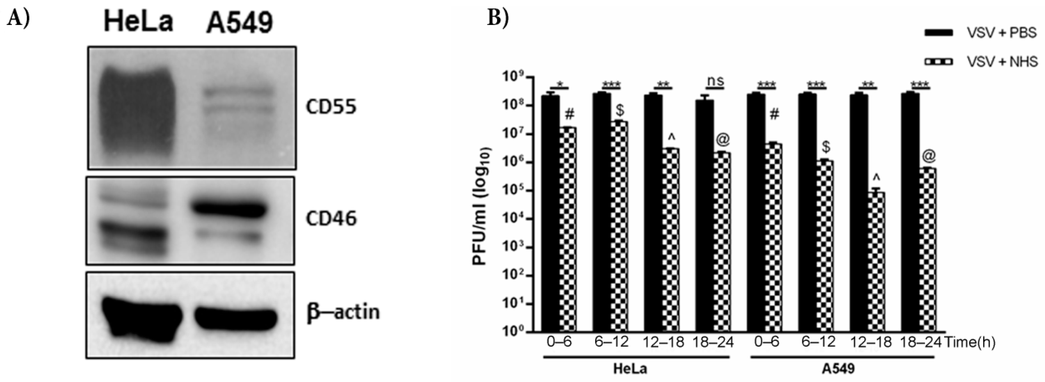 Viruses 13 00373 g006