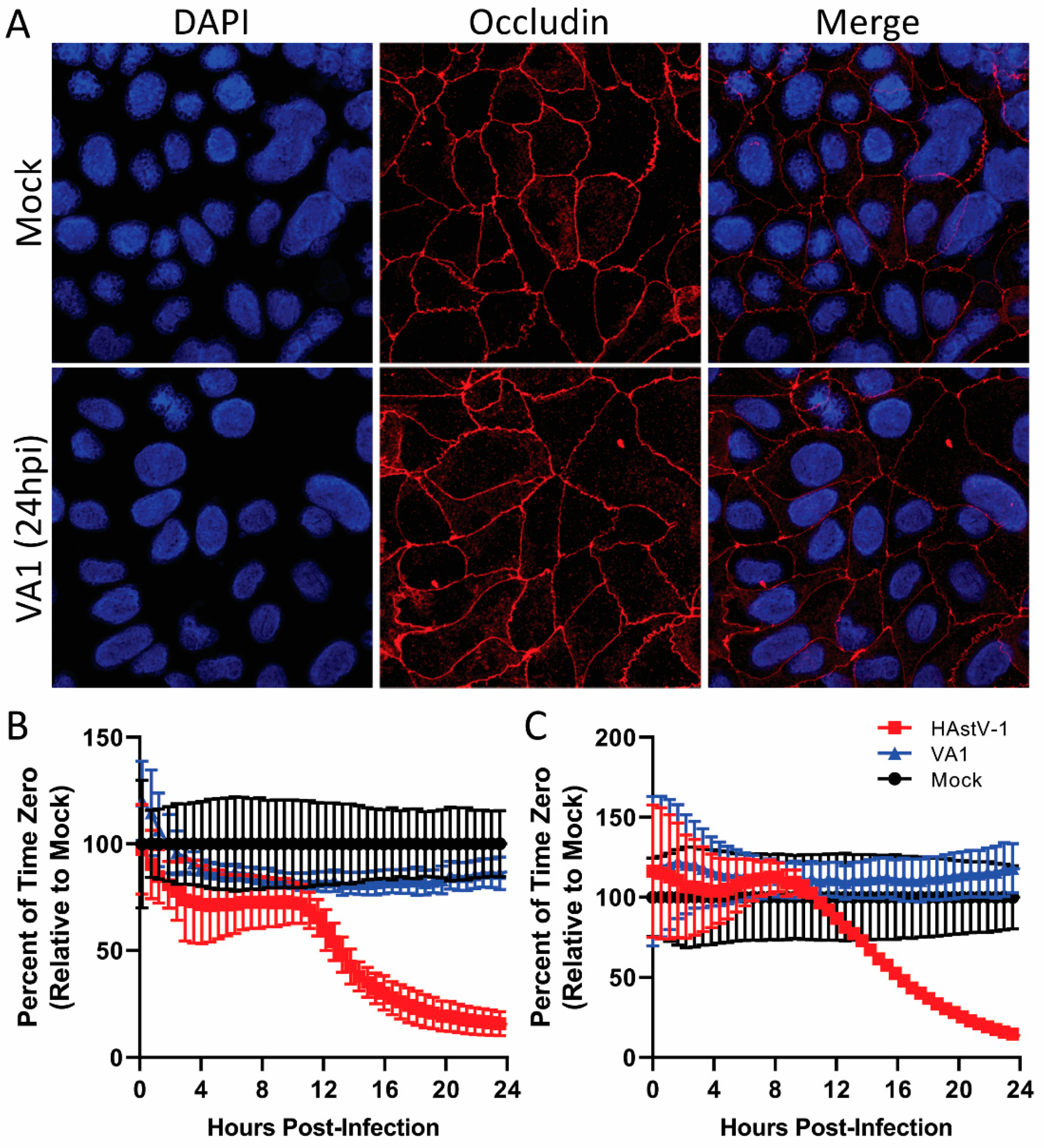 Viruses 13 00376 g005