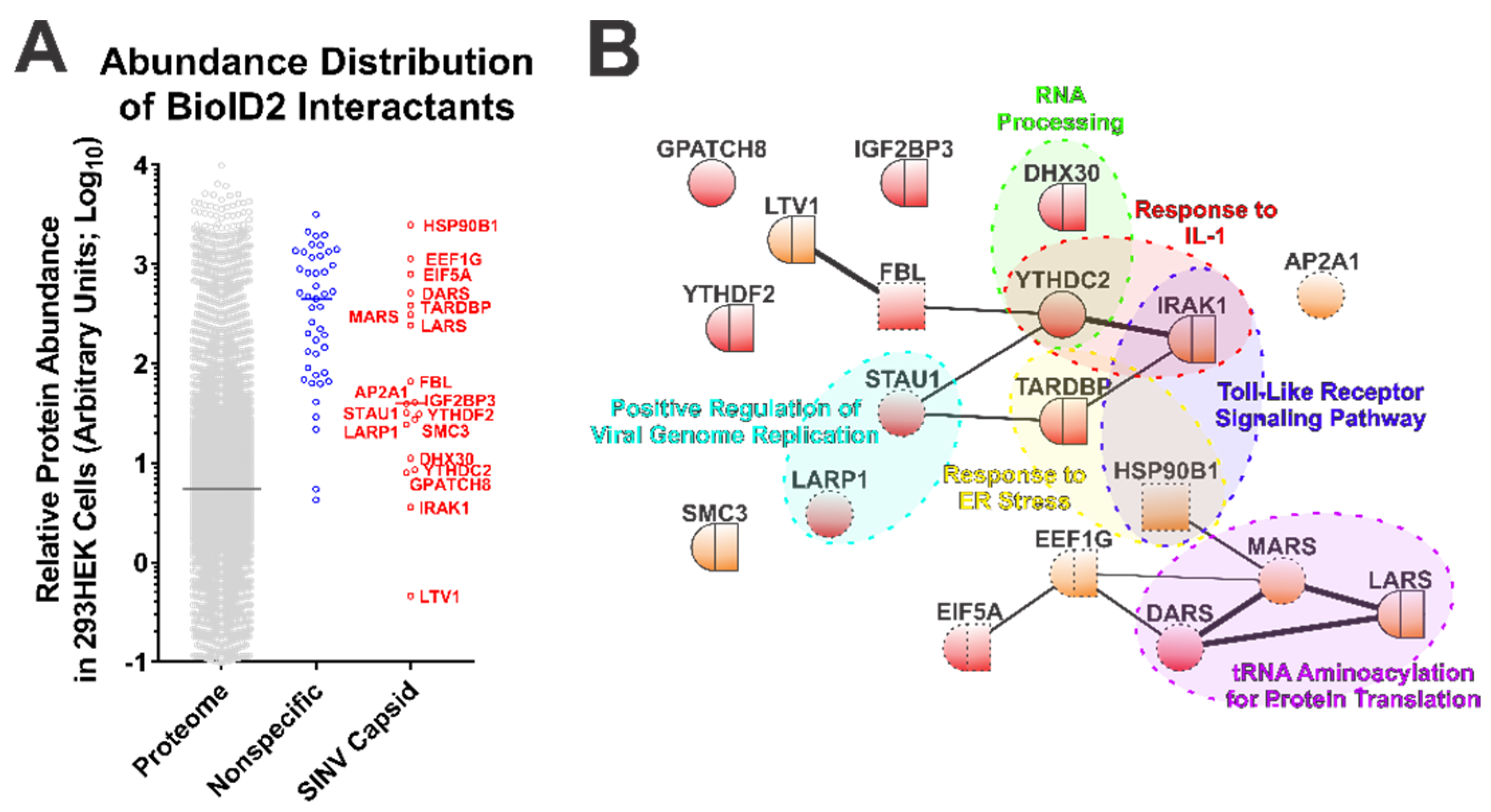 Viruses 13 00377 g002 Viruses 13 00377 g002