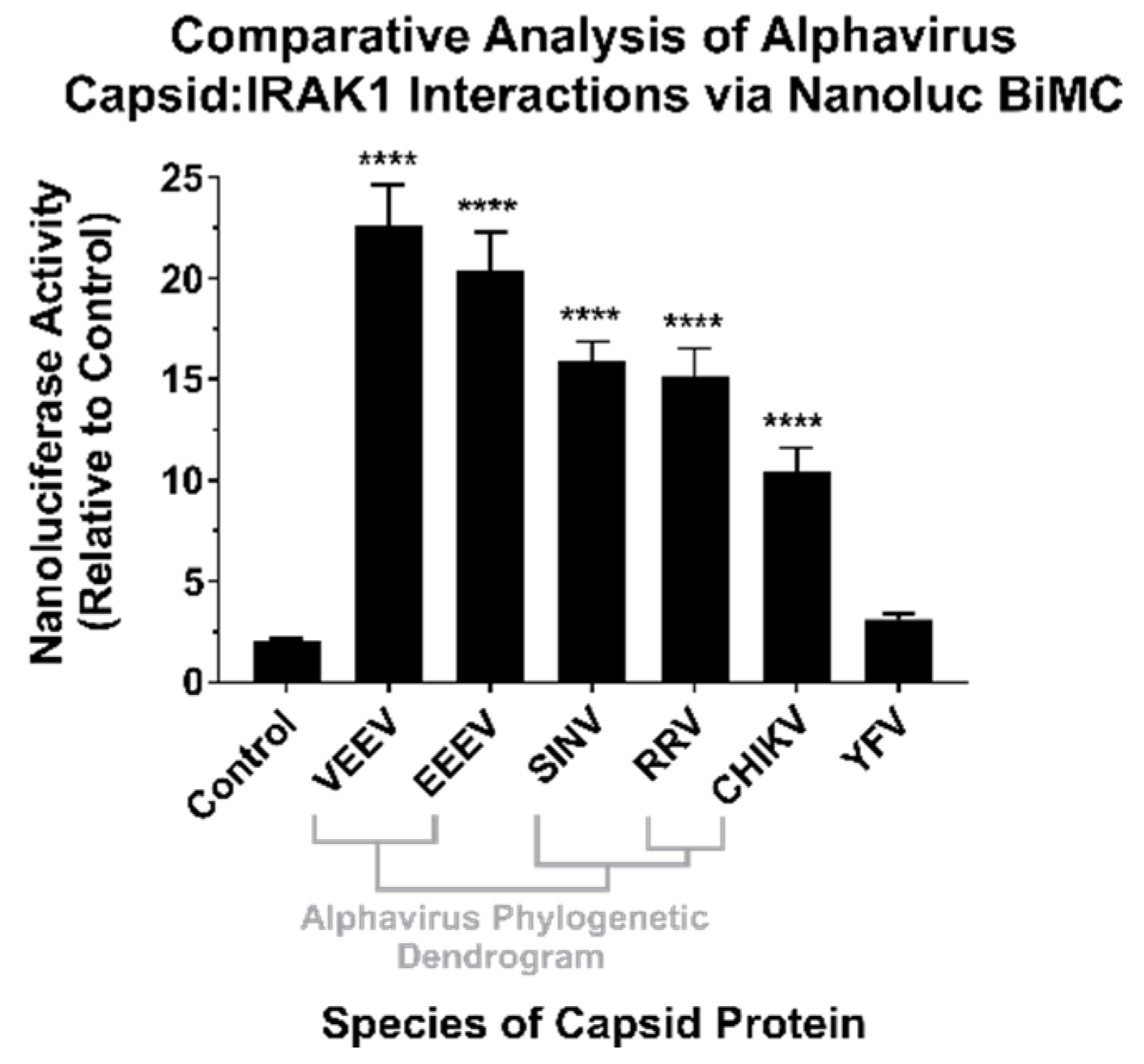 Viruses 13 00377 g003 Viruses 13 00377 g003