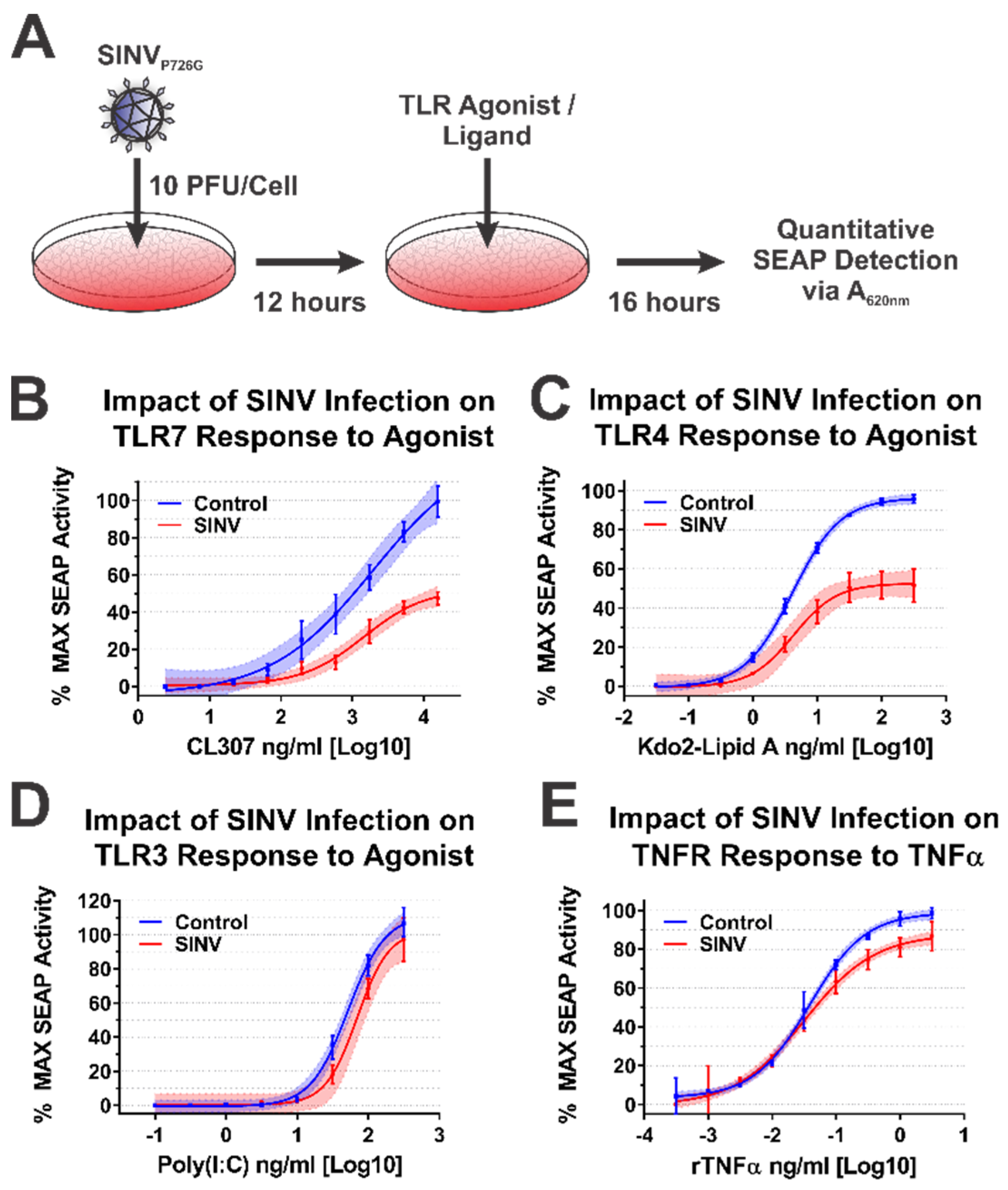 Viruses 13 00377 g006 Viruses 13 00377 g006