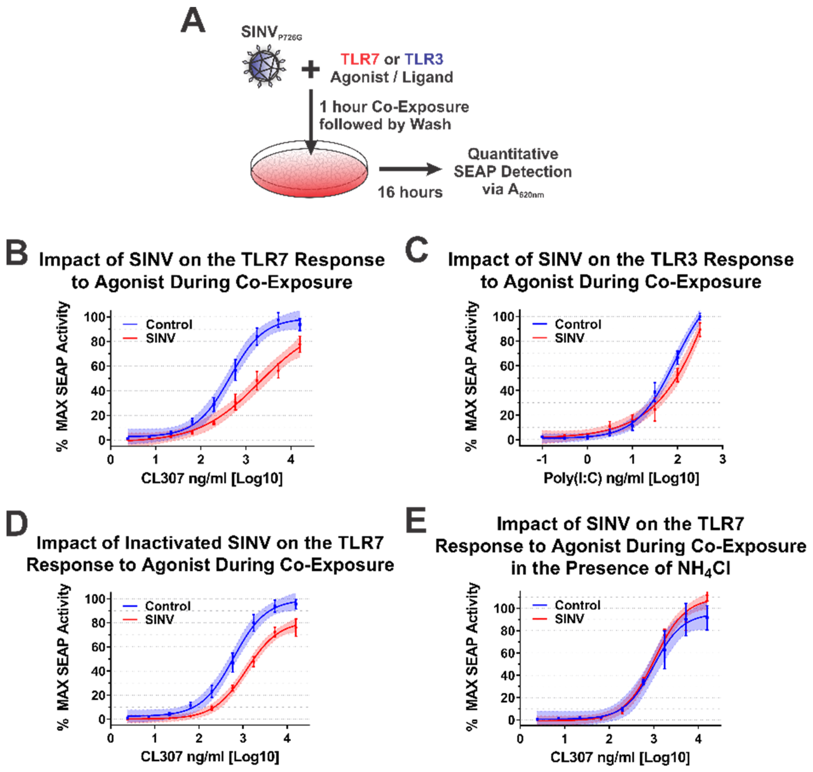 Viruses 13 00377 g007 Viruses 13 00377 g007