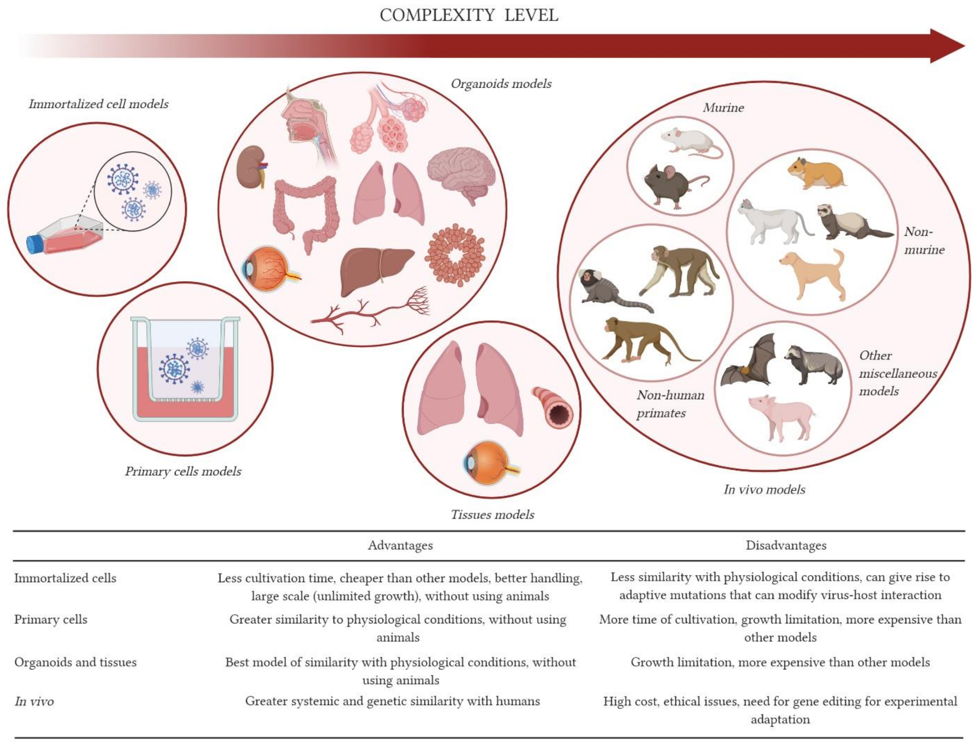 Viruses 13 00379 g001