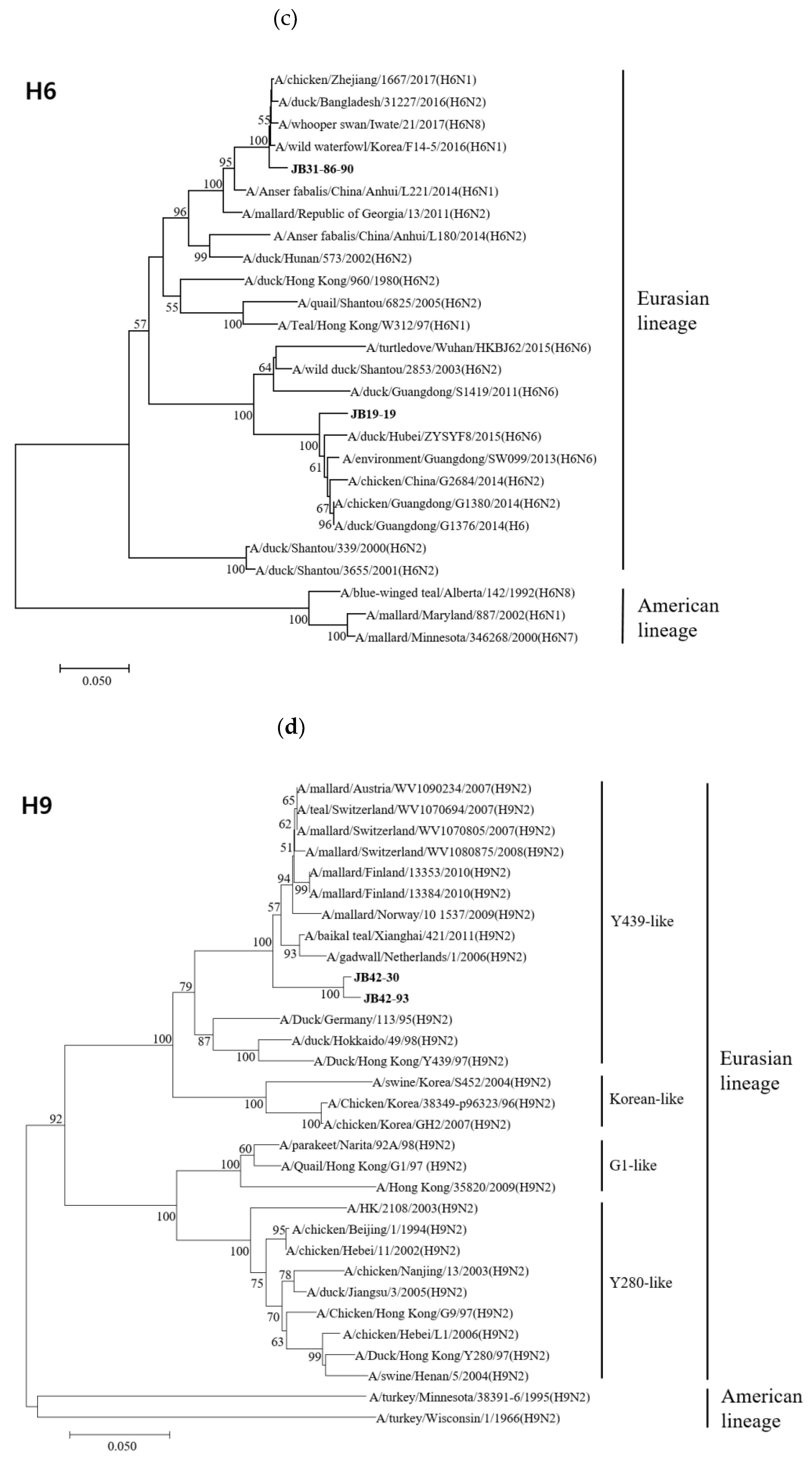 Viruses 13 00381 g002b Viruses 13 00381 g002b